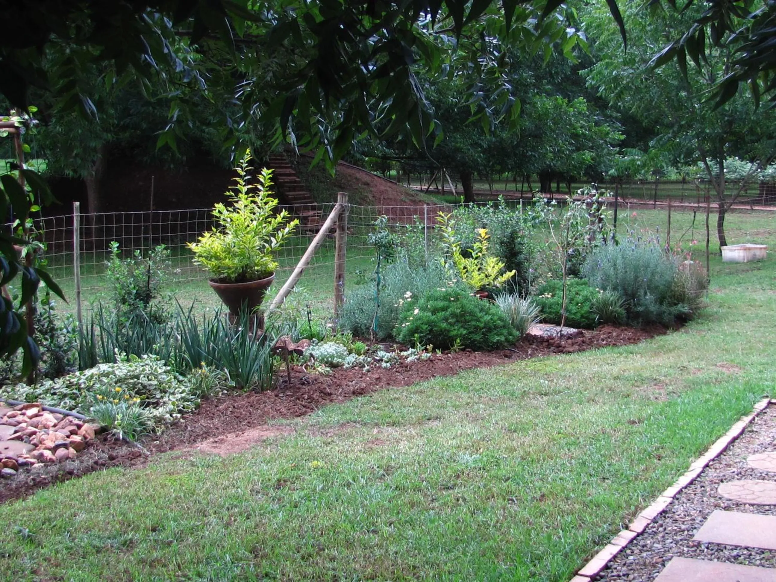Garden view in Millstream Inn guest house