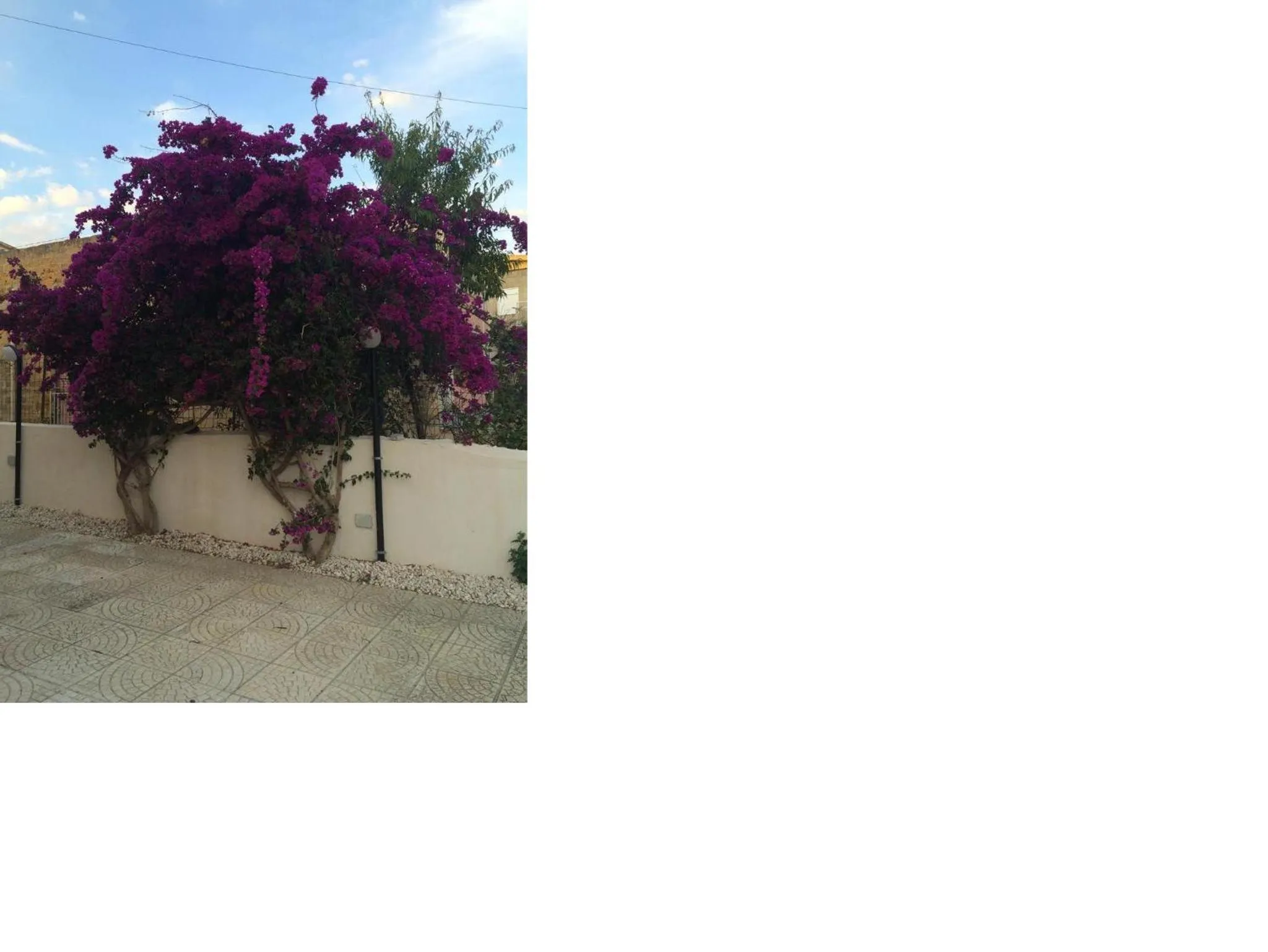 Villa Amico B&B San Leone