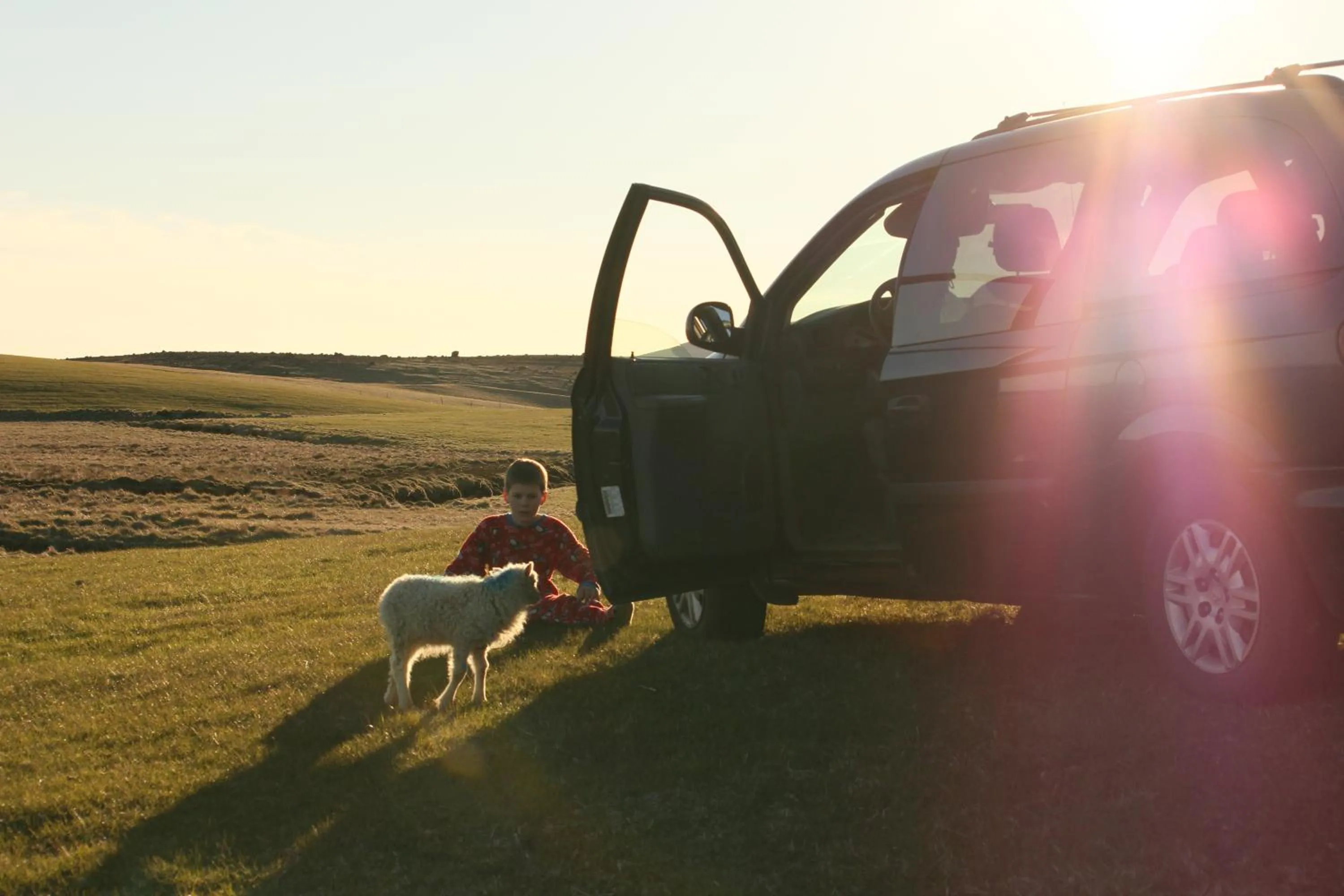 Natural landscape in Hótel Dyrhólaey