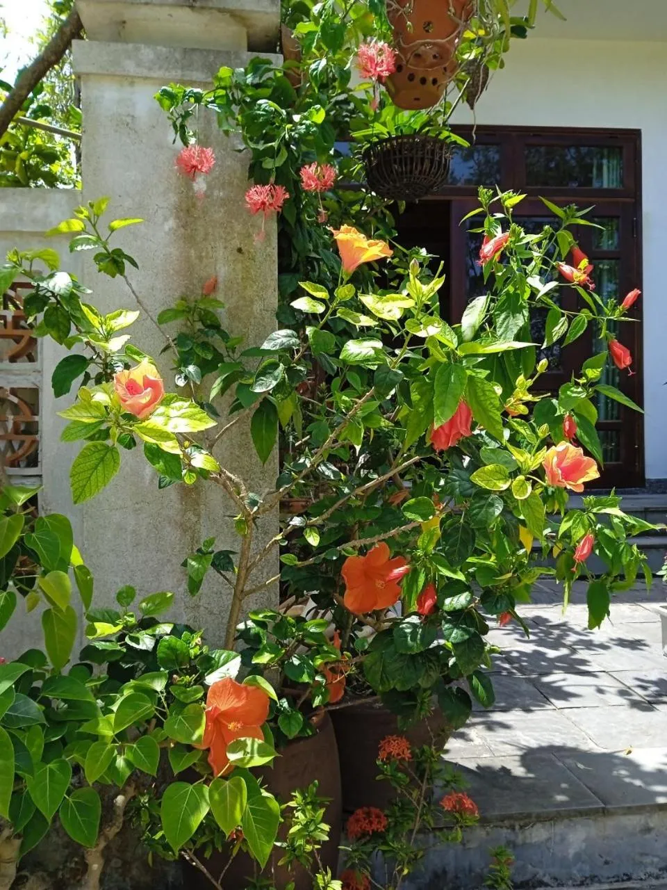 Day in AnBang Morning Glory Beach Homestay 호이안 안방비치 숙소호텔