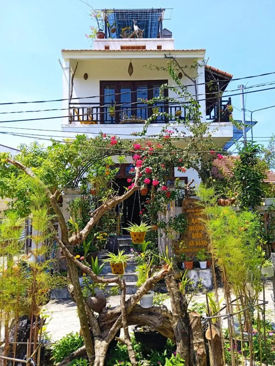 AnBang Morning Glory Beach Homestay 호이안 안방비치 숙소호텔 AnBang Morning Glory Beach Homestay 호이안 안방비치 숙소호텔