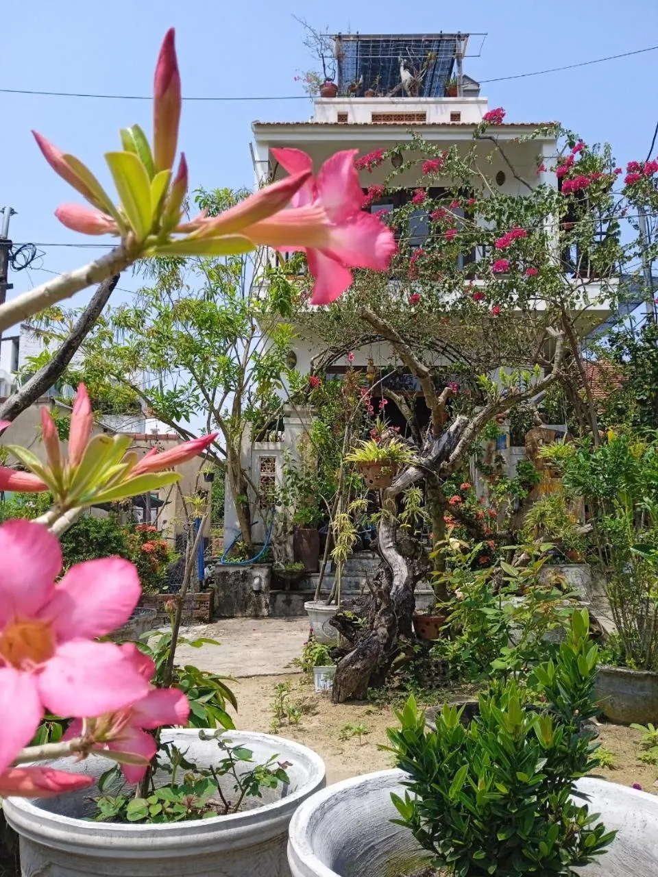 Property building in AnBang Morning Glory Beach Homestay 호이안 안방비치 숙소호텔