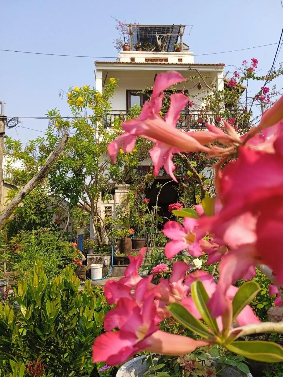 Property building in AnBang Morning Glory Beach Homestay 호이안 안방비치 숙소호텔