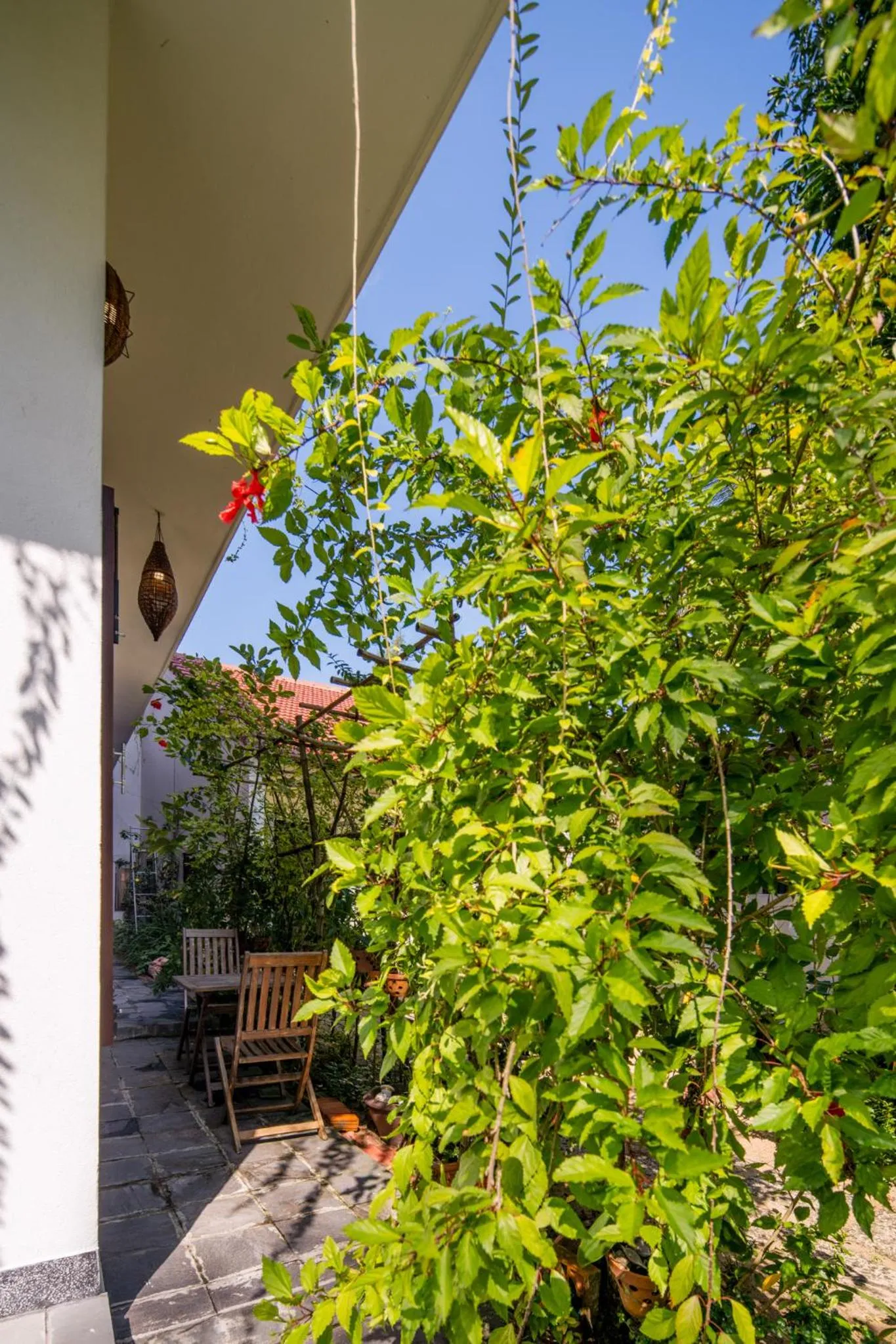 Patio in AnBang Morning Glory Beach Homestay 호이안 안방비치 숙소호텔