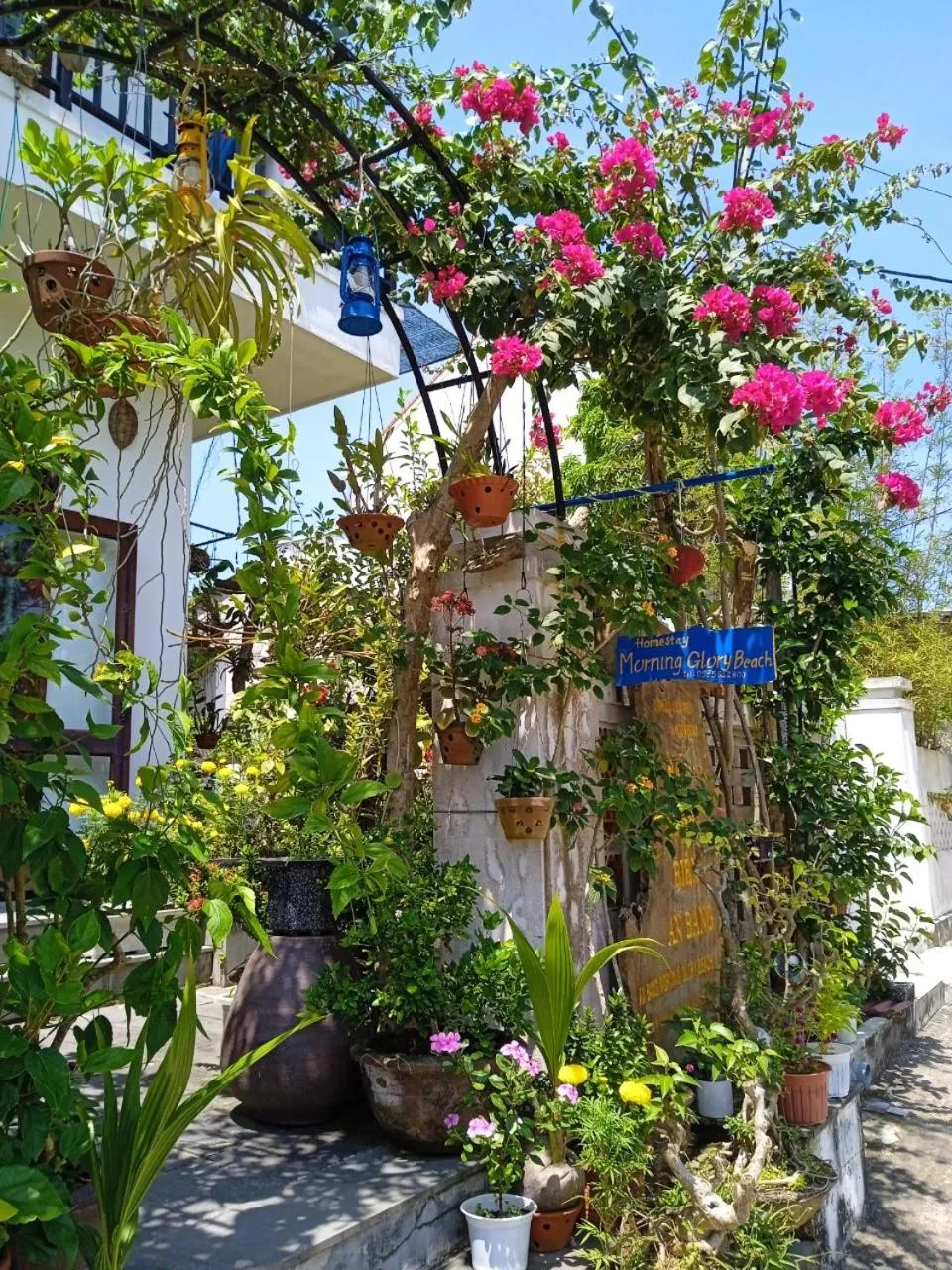 Property building in AnBang Morning Glory Beach Homestay 호이안 안방비치 숙소호텔