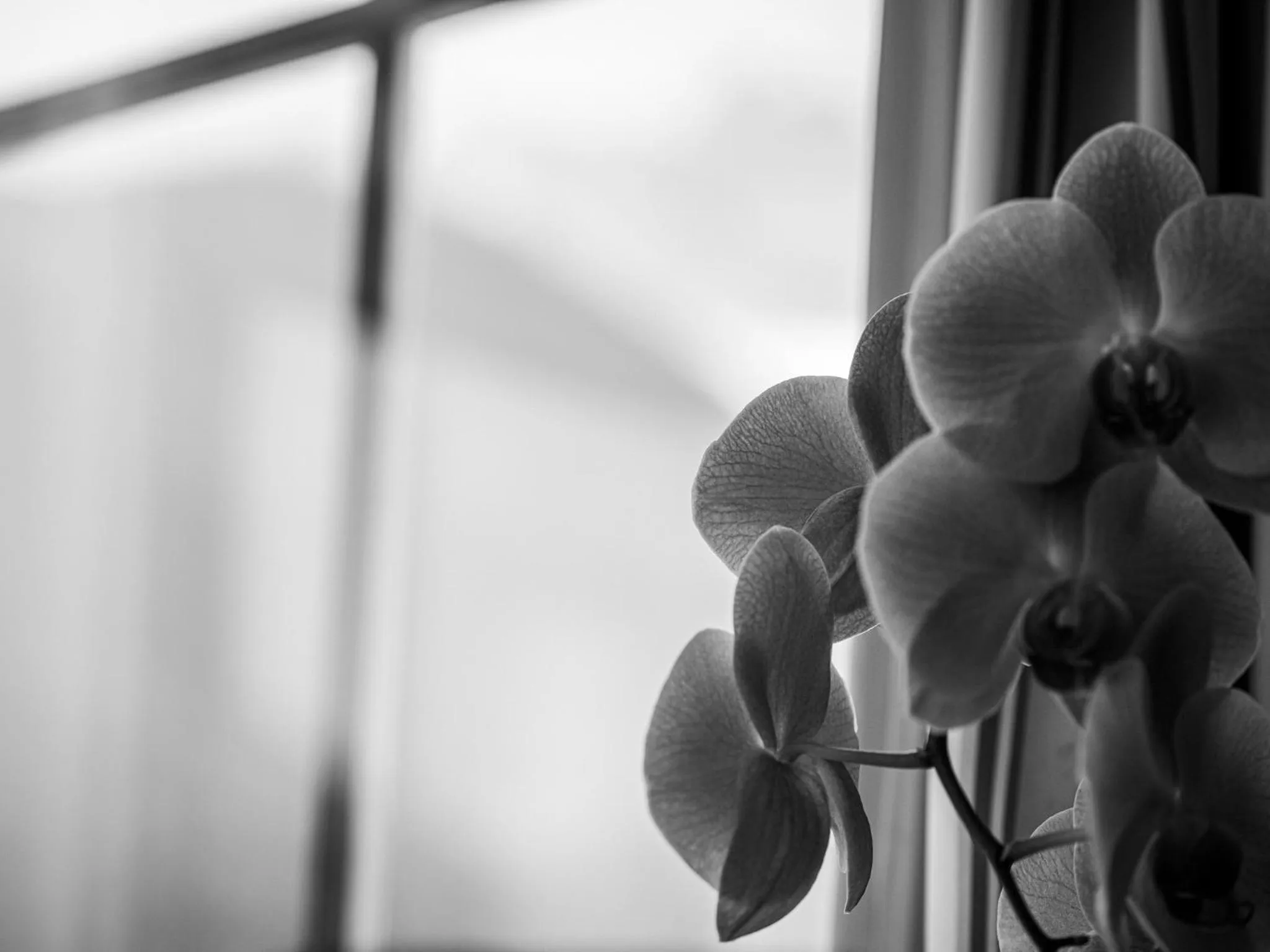 Appartementhaus Sennhüttn