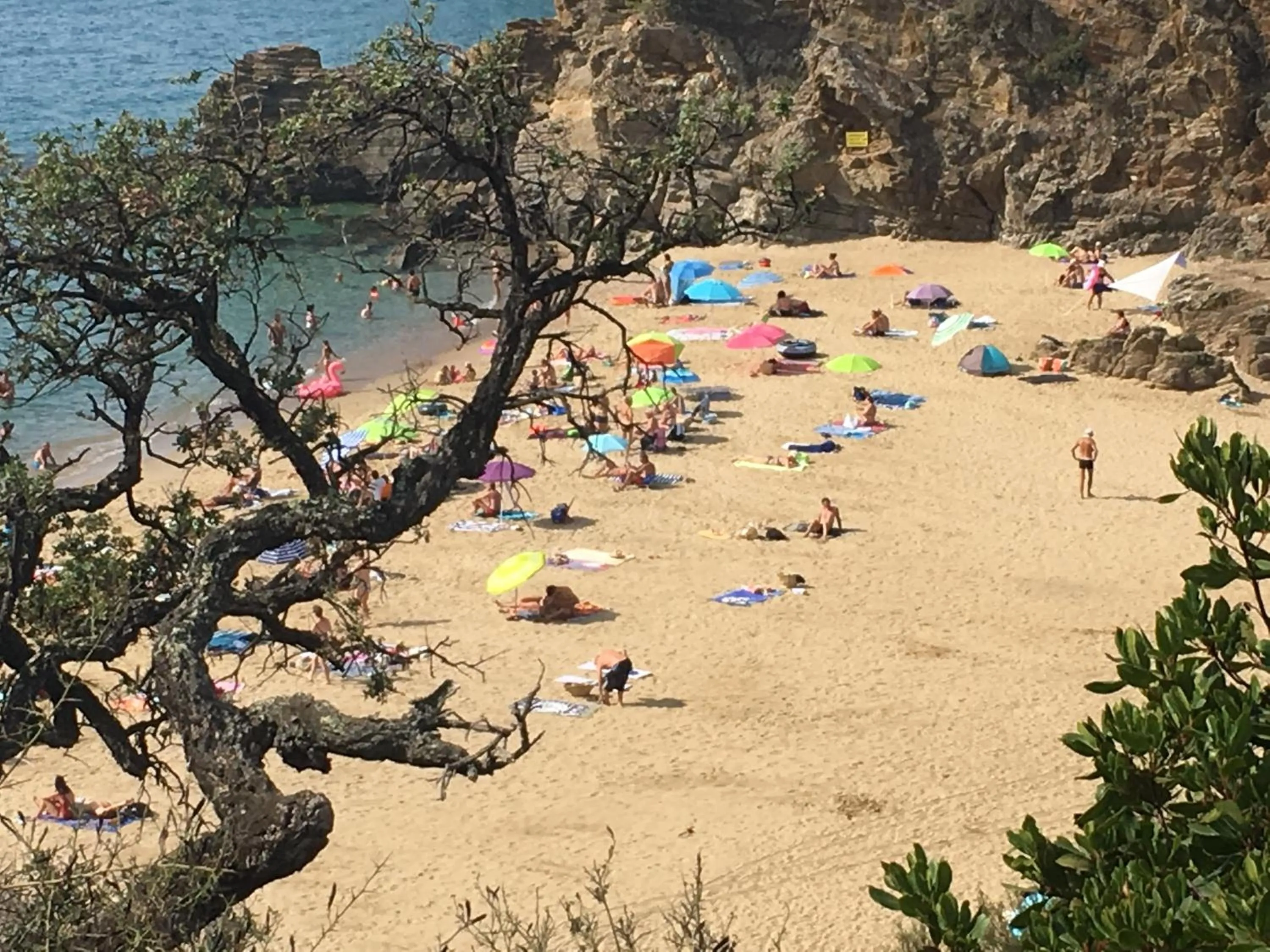 Beach in Le Clos des Sept Palmiers