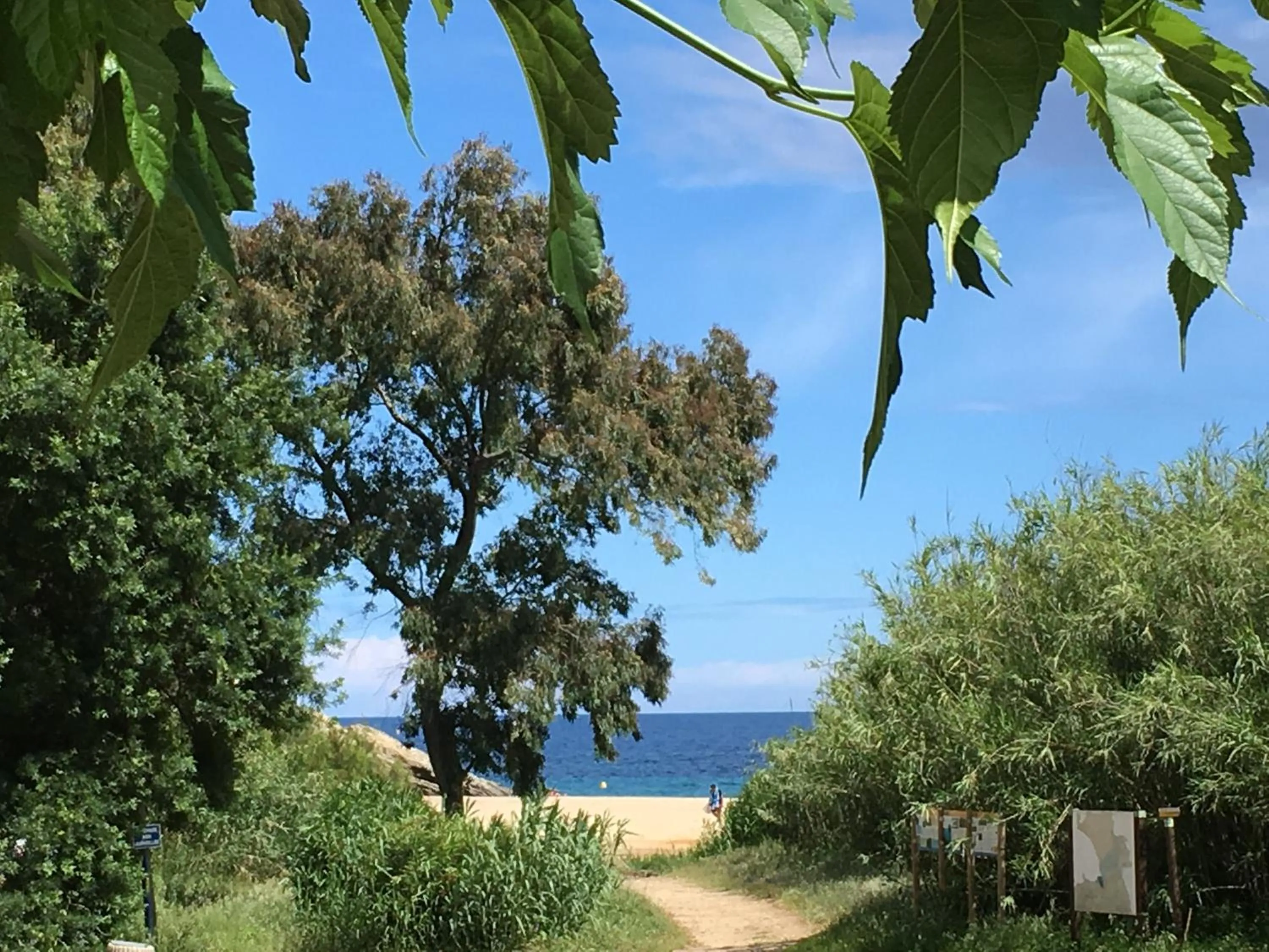 Sea view in Le Clos des Sept Palmiers