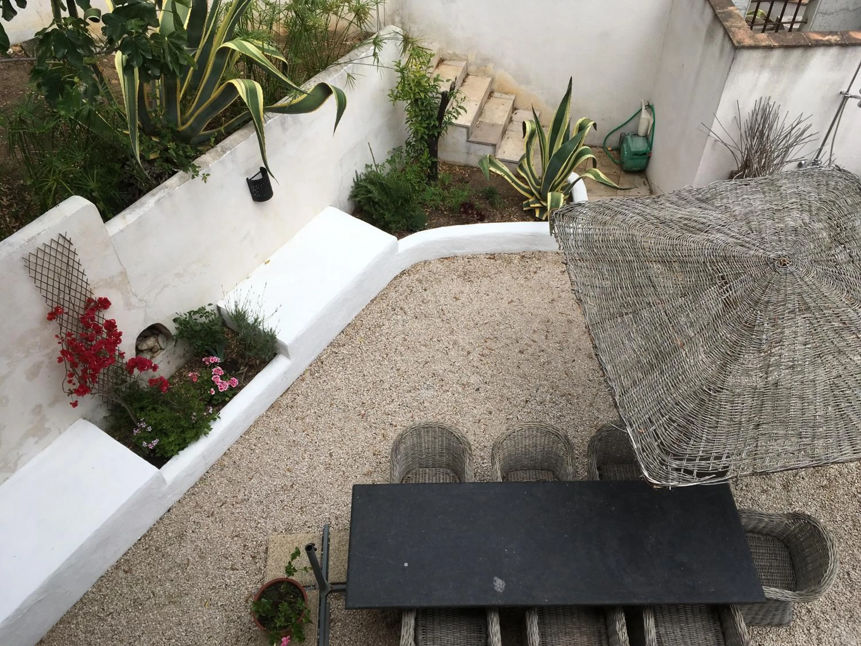 Garden view in Le Clos des Sept Palmiers