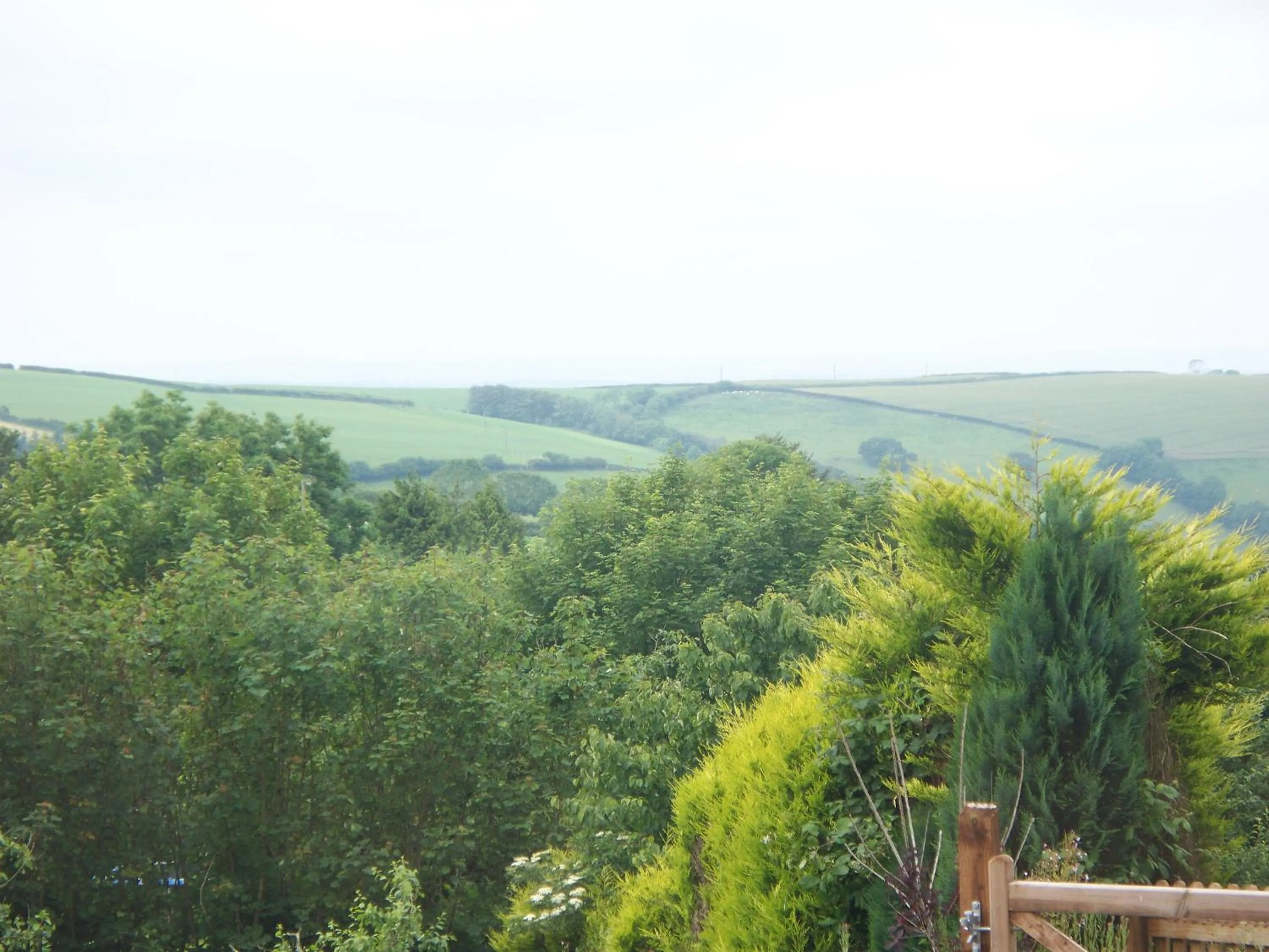 Stoke House Bed and Breakfast