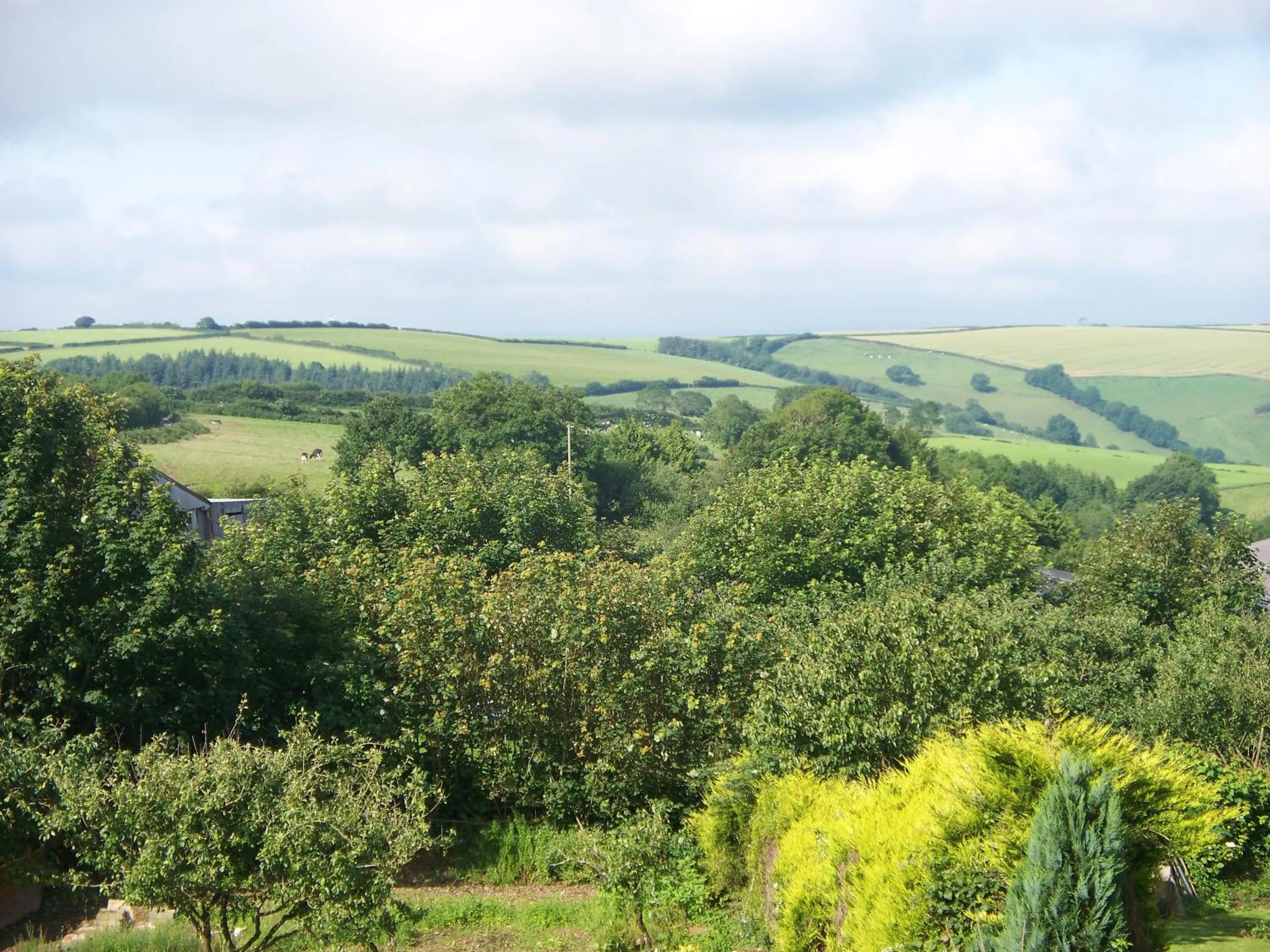 Stoke House Bed and Breakfast