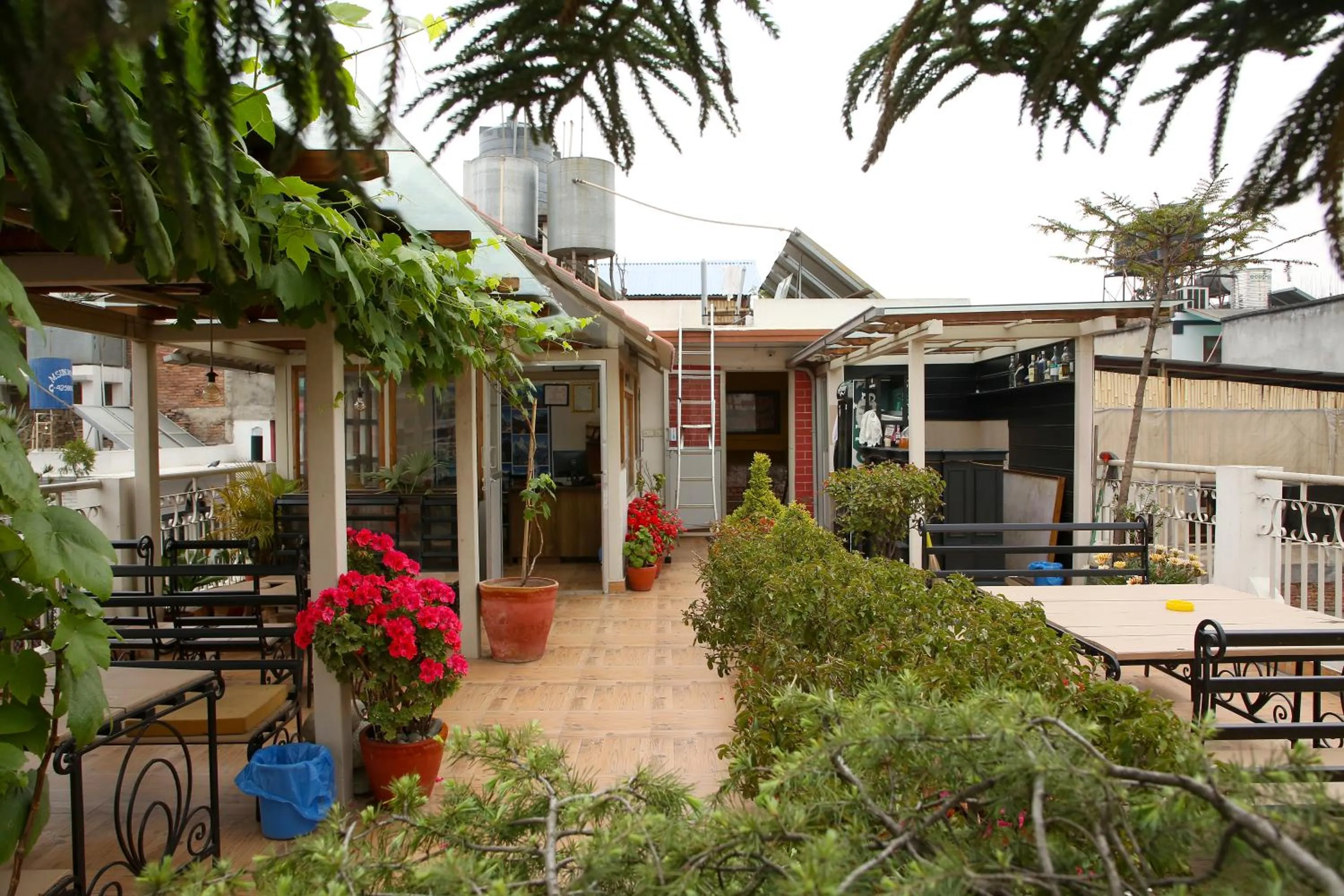 Restaurant/places to eat in Hotel Himalayan Oasis