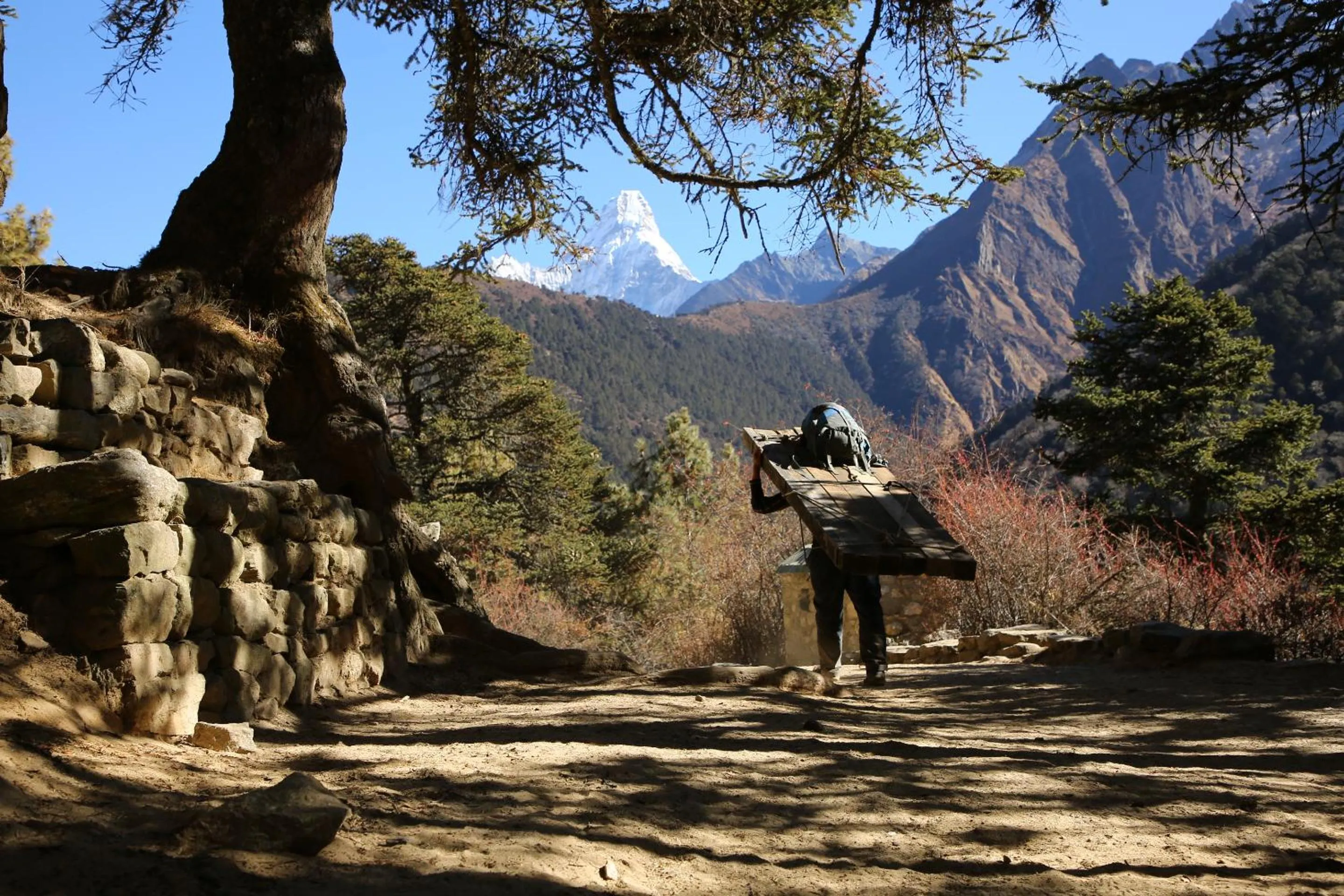Hiking in Hotel Himalayan Oasis