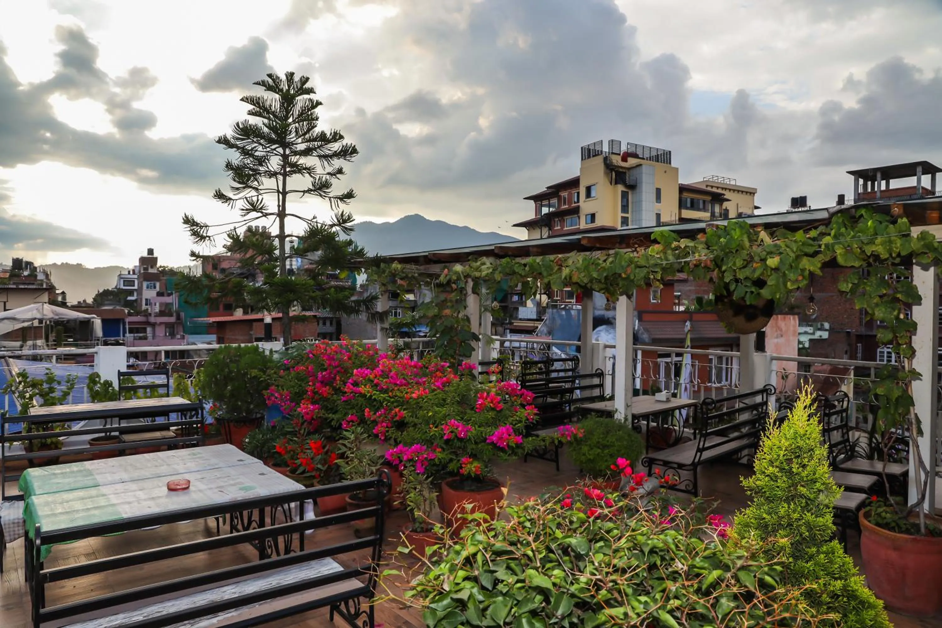 Balcony/Terrace in Hotel Himalayan Oasis