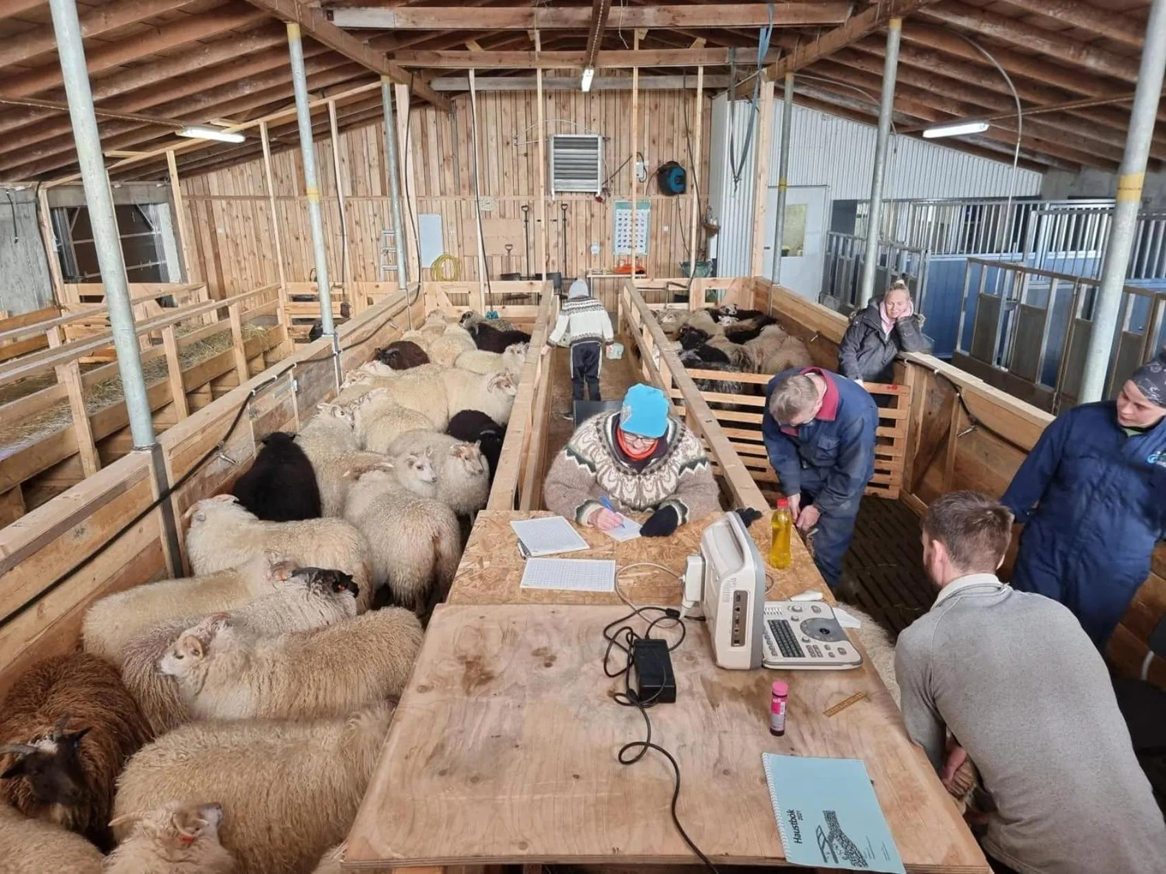 Property building in Miðhraun - Lava resort & Restaurant
