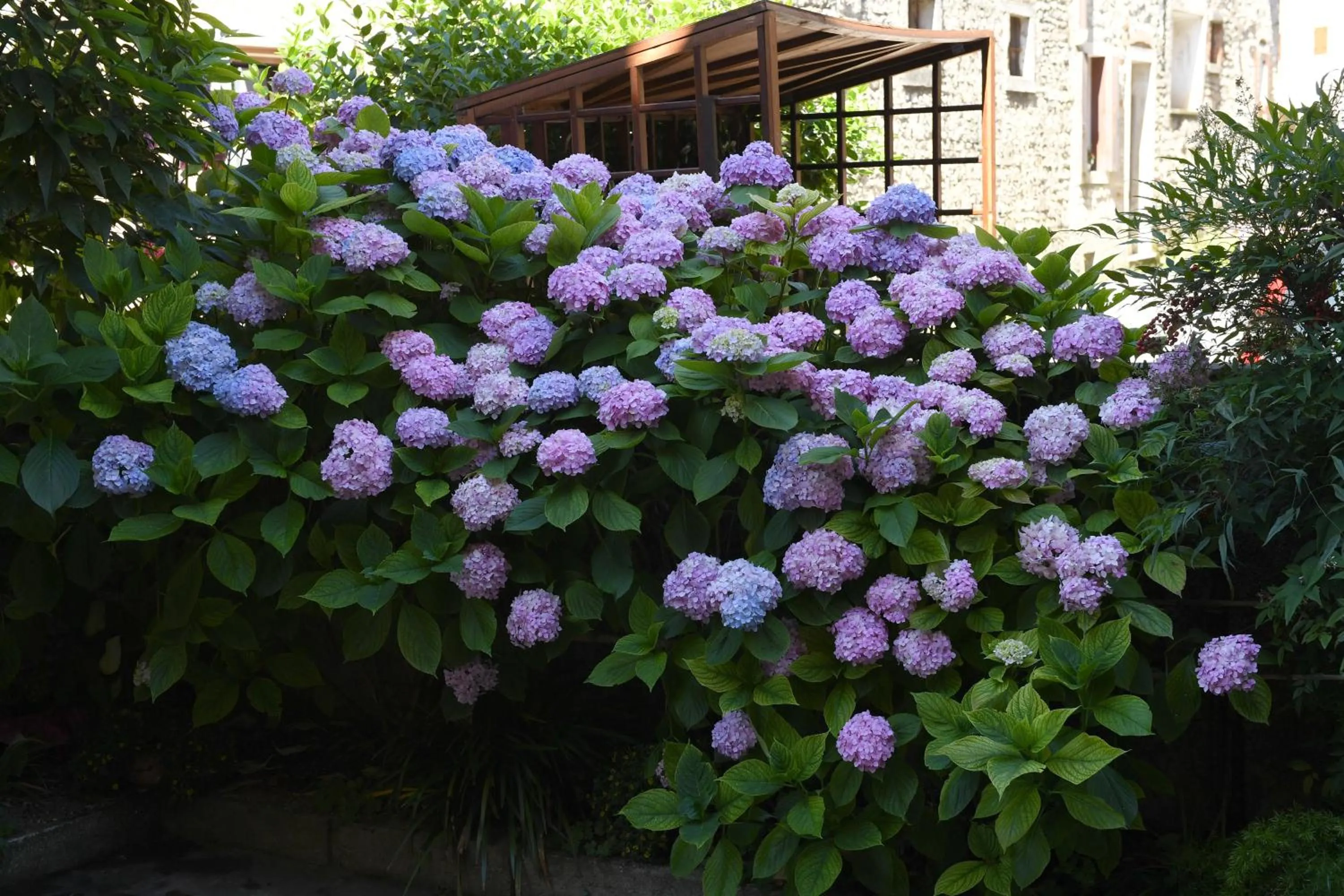Floor plan in Bed and Breakfast Isabella
