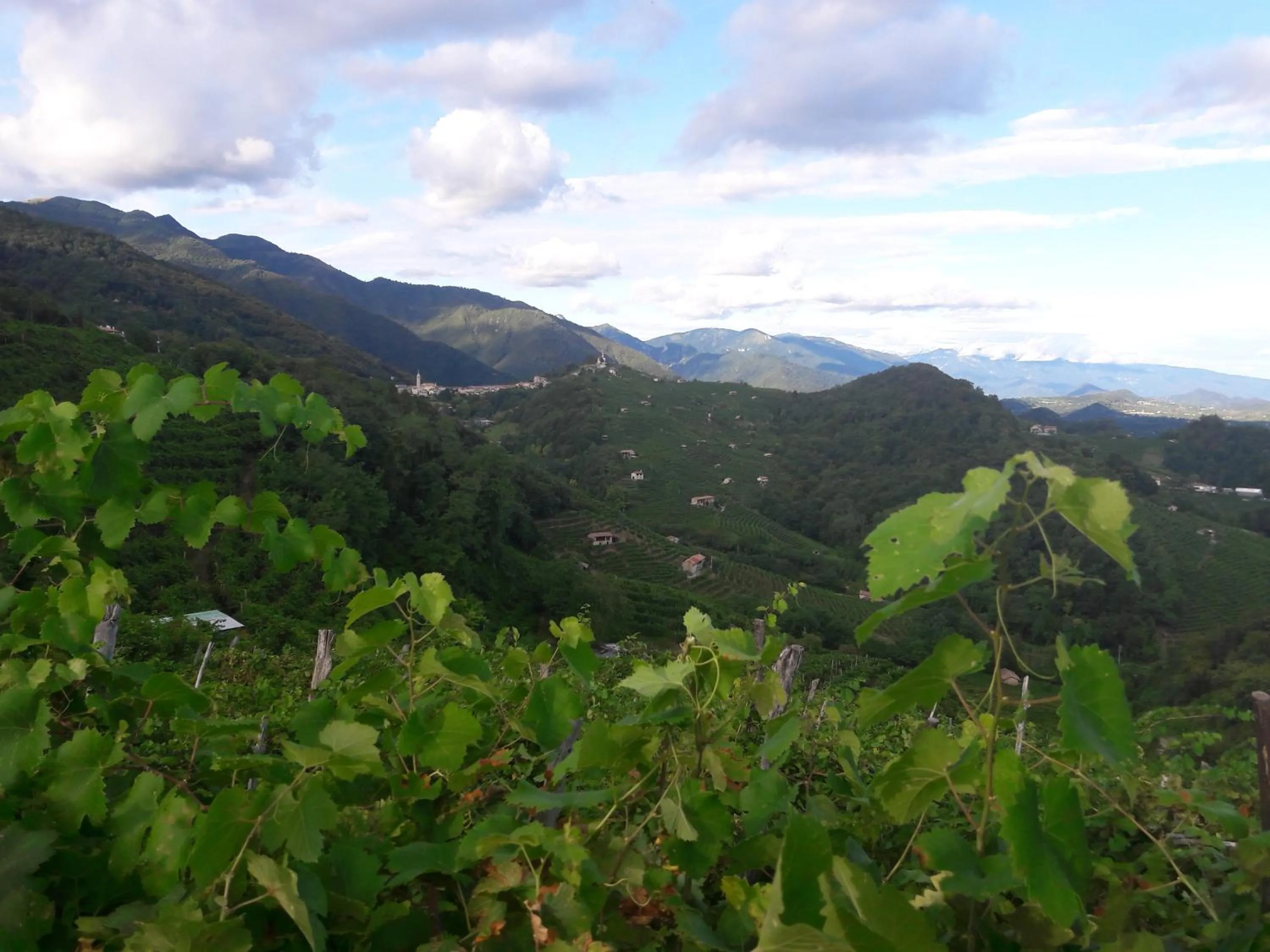 Mountain view in Bed and Breakfast Isabella