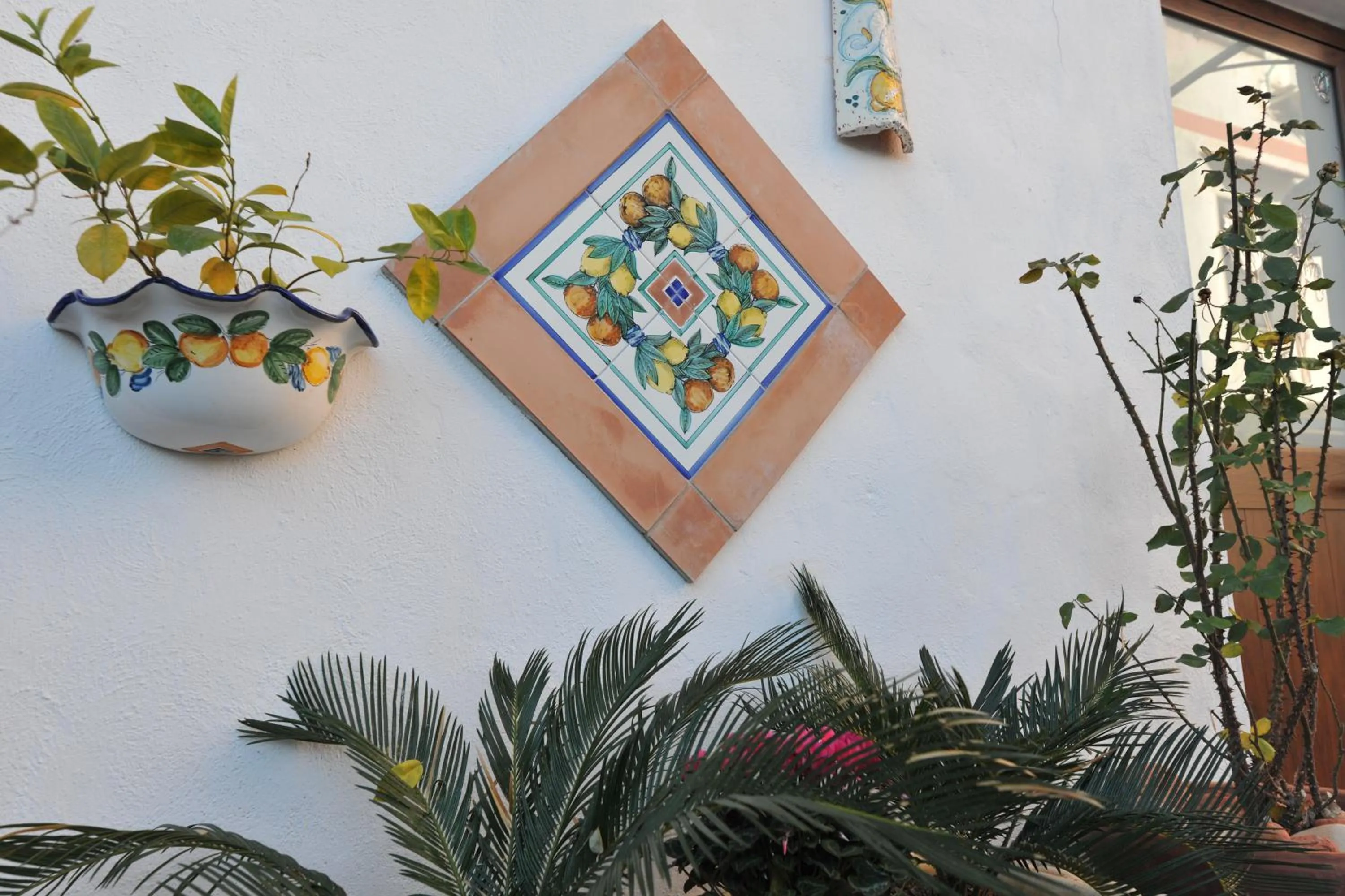 Facade/entrance in B&b Le Cycas
