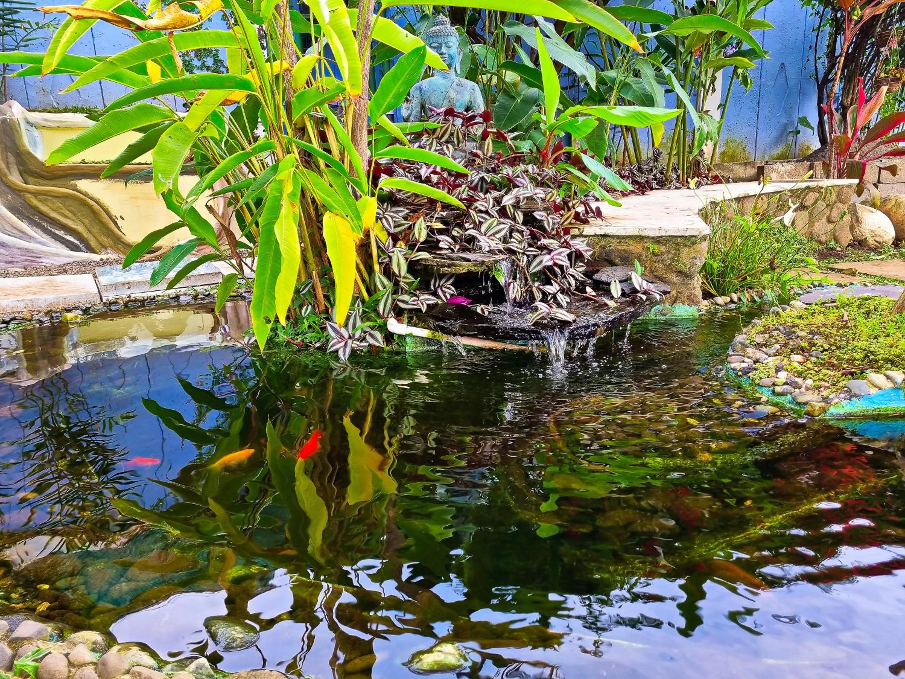 Day in Casa Jardin del Mango