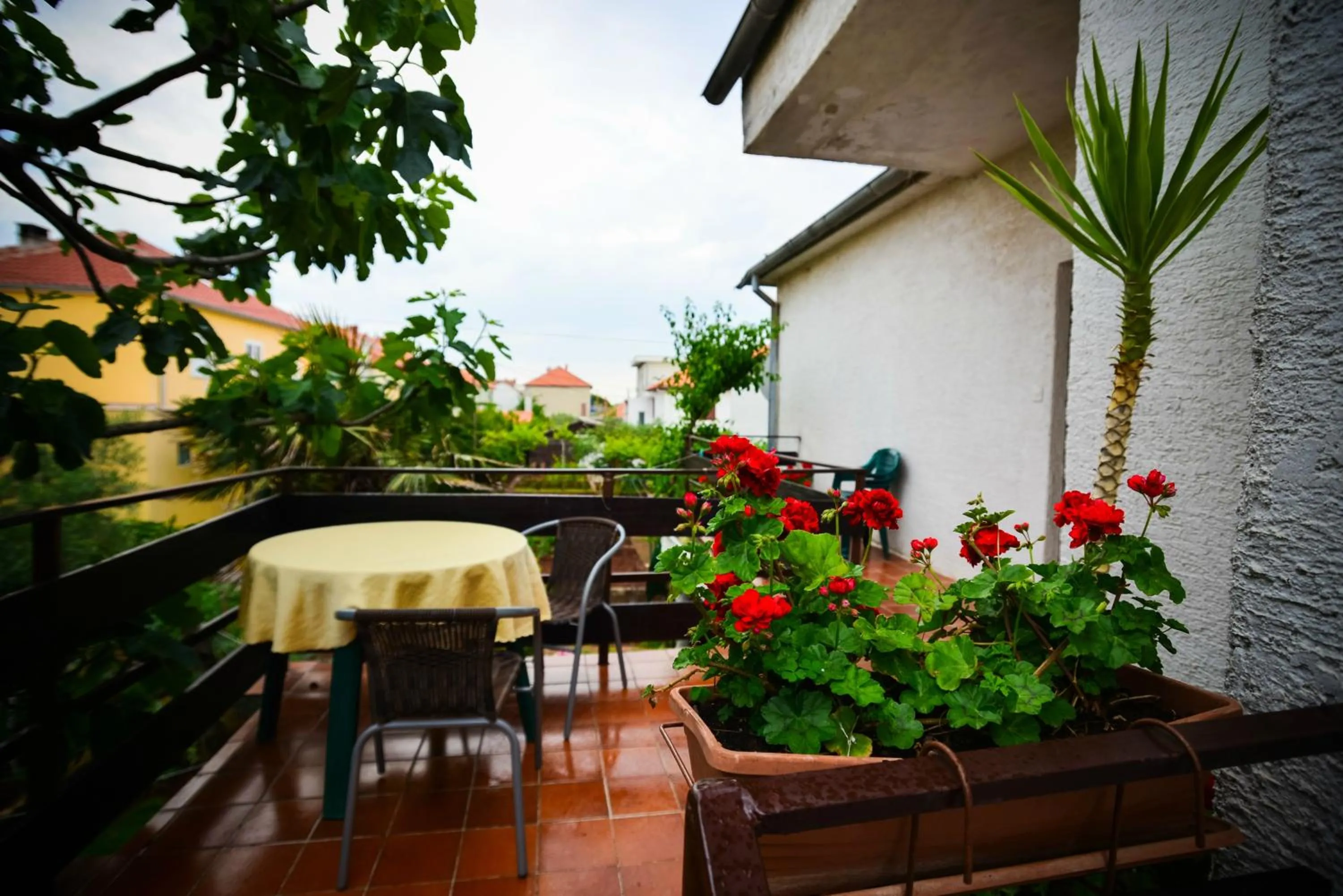 Balcony/Terrace in Apartments Bobo