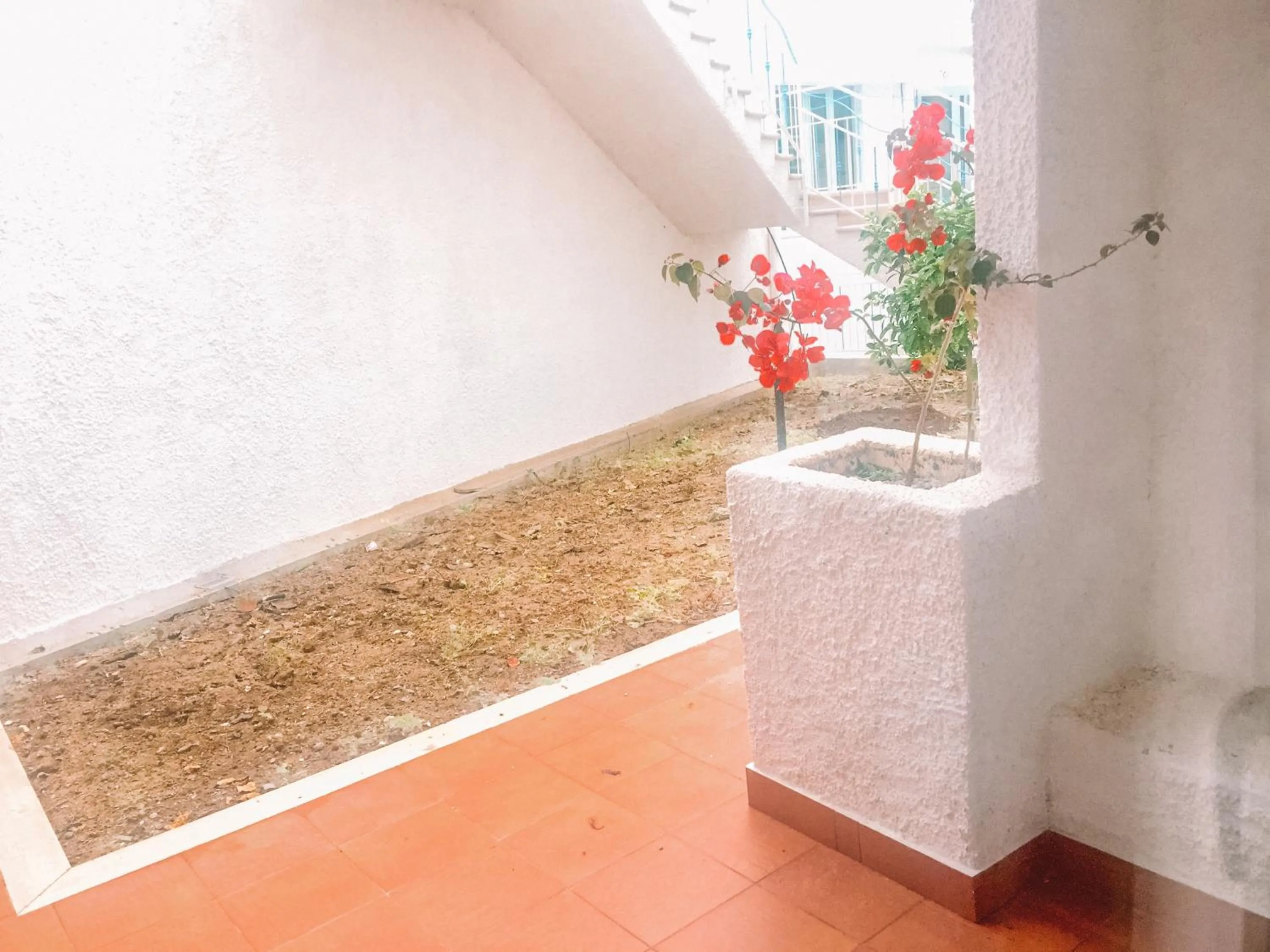 Balcony/Terrace in Hotel Ferretti