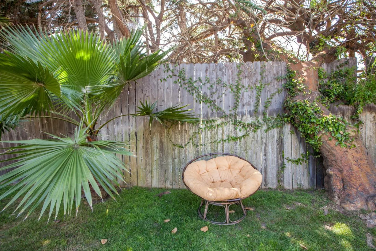 Seating area, Garden in PodShare Venice
