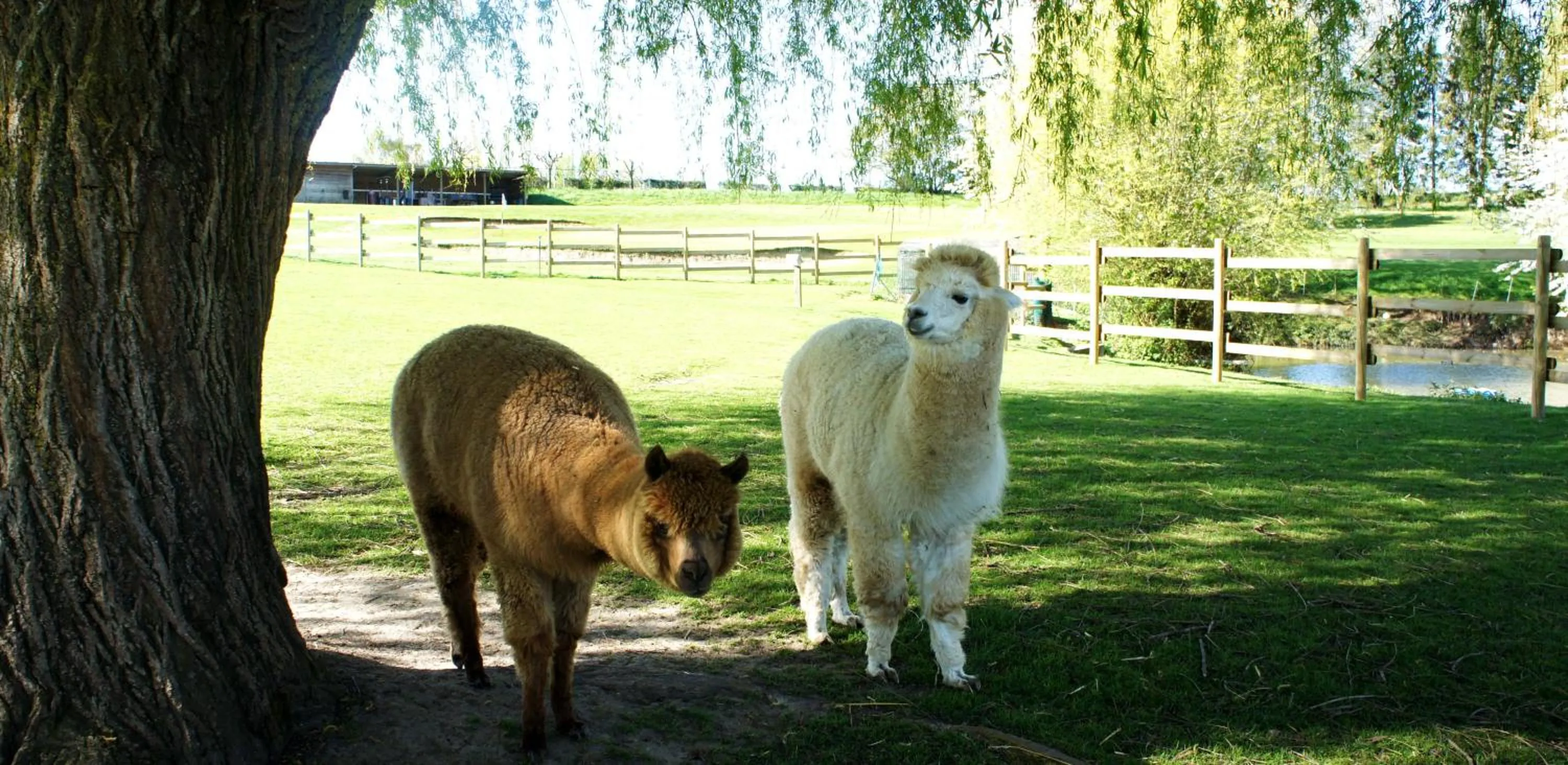 Hotel Les Suites - Domaine de Crécy