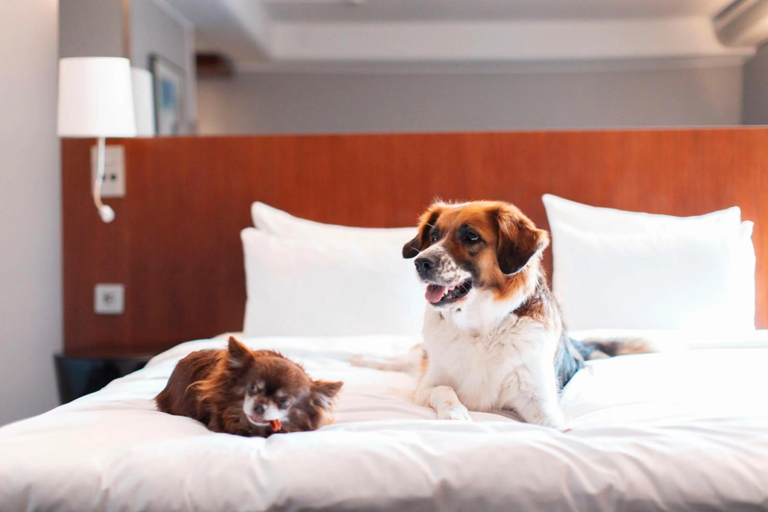 Other, Bed in Radisson Blu Arlandia Hotel, Stockholm-Arlanda