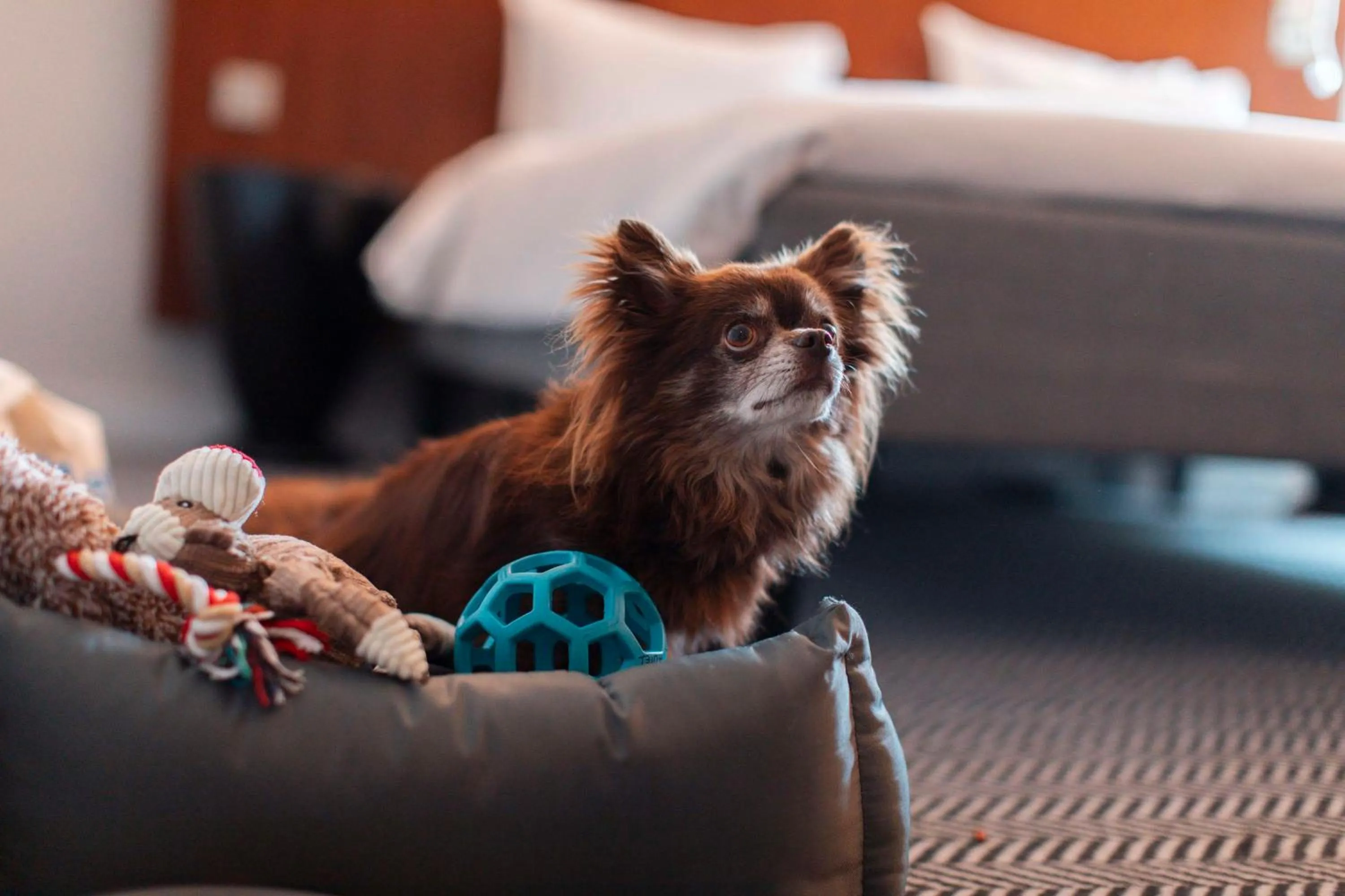 Other in Radisson Blu Arlandia Hotel, Stockholm-Arlanda