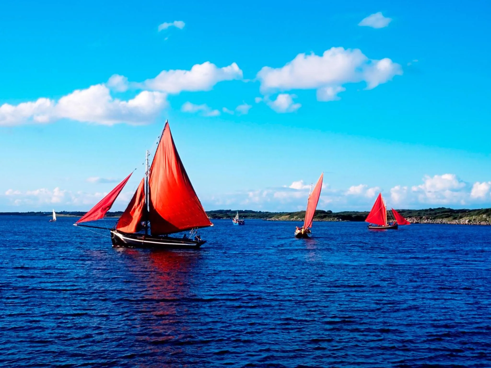 Area and facilities in HYDE Hotel