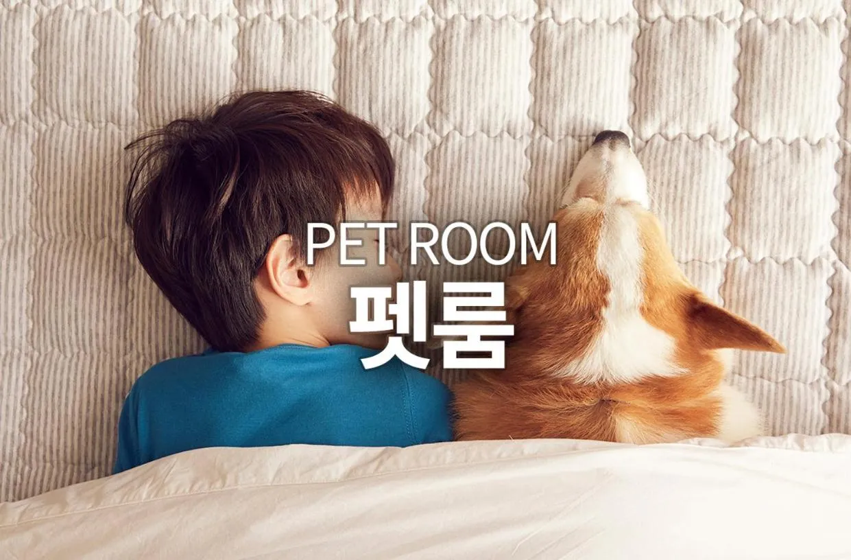 Pets in Ocean 2 You Resort Seorak Beach Hotel & Condo
