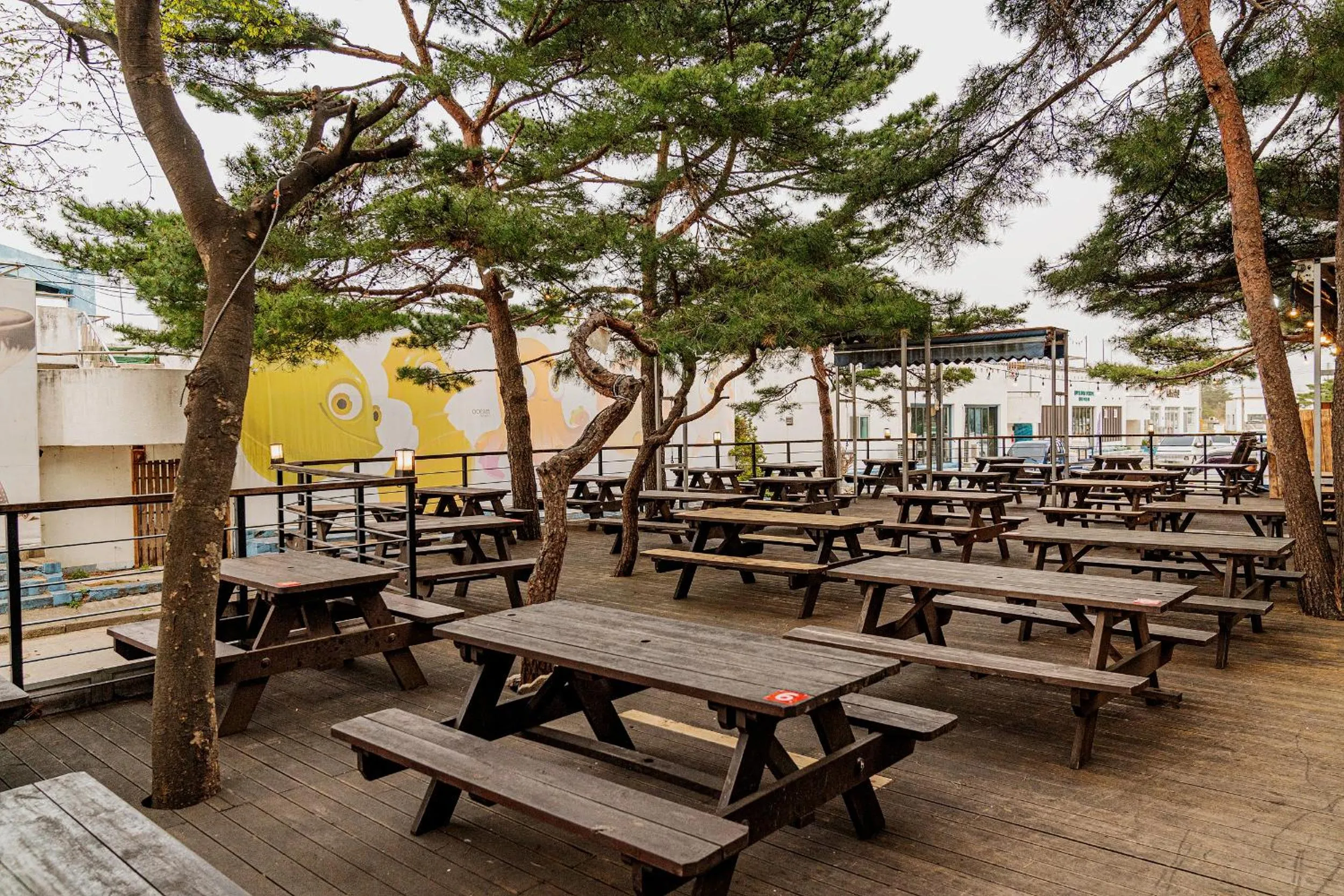 BBQ facilities, Restaurant/Places to Eat in Ocean 2 You Resort Seorak Beach Hotel & Condo