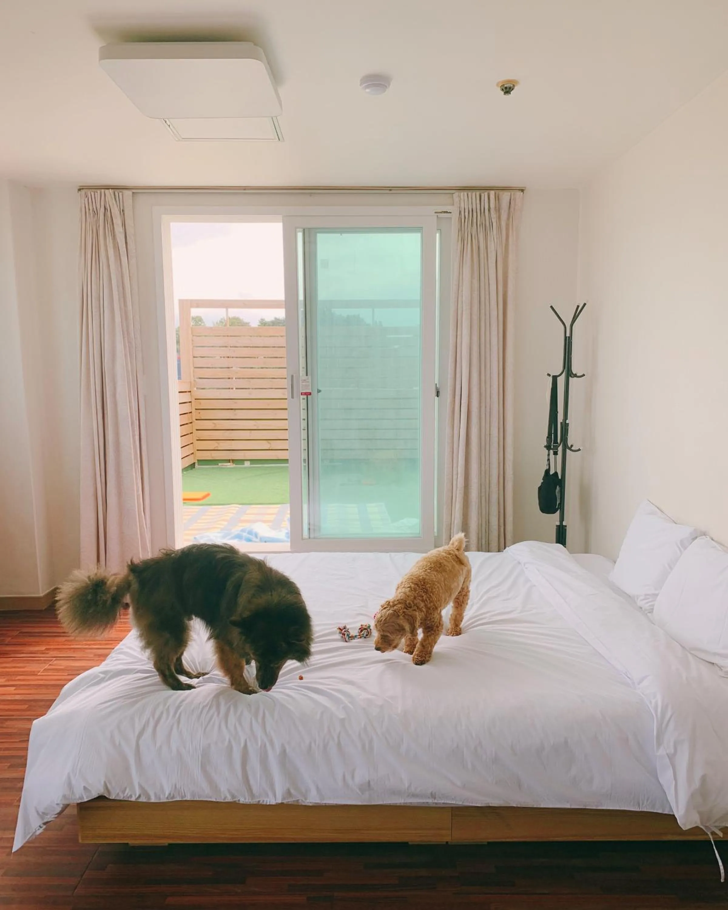 Bed in Ocean 2 You Resort Seorak Beach Hotel & Condo