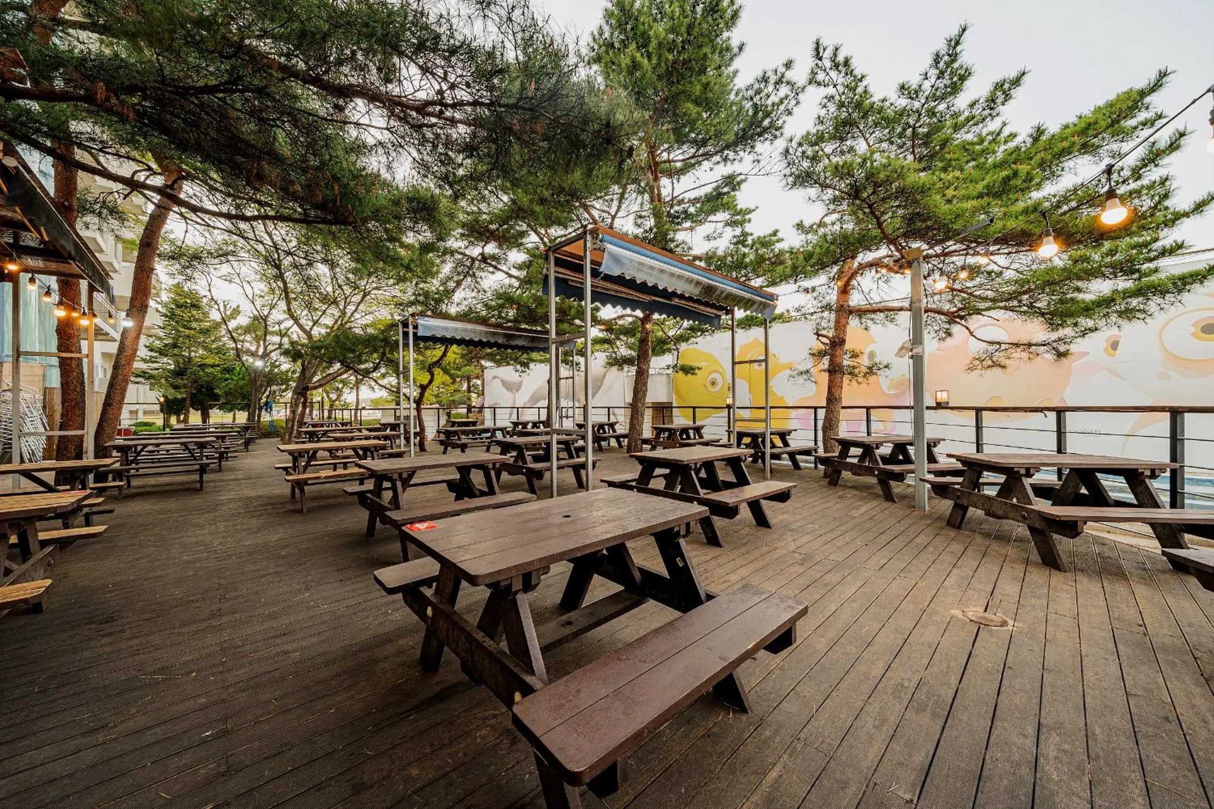 BBQ facilities in Ocean 2 You Resort Seorak Beach Hotel & Condo