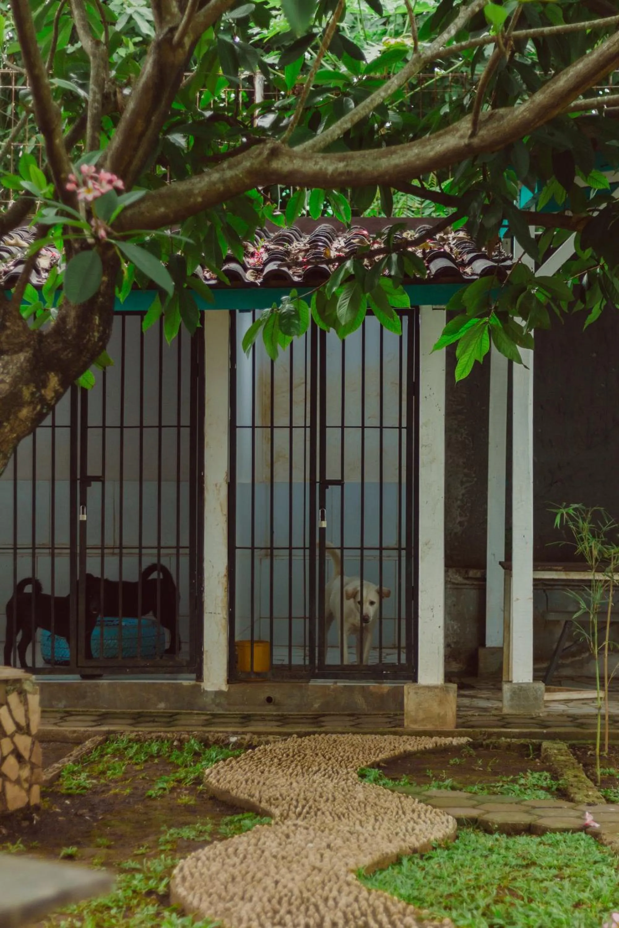 Pets in Urbanest Inn House TB Simatupang