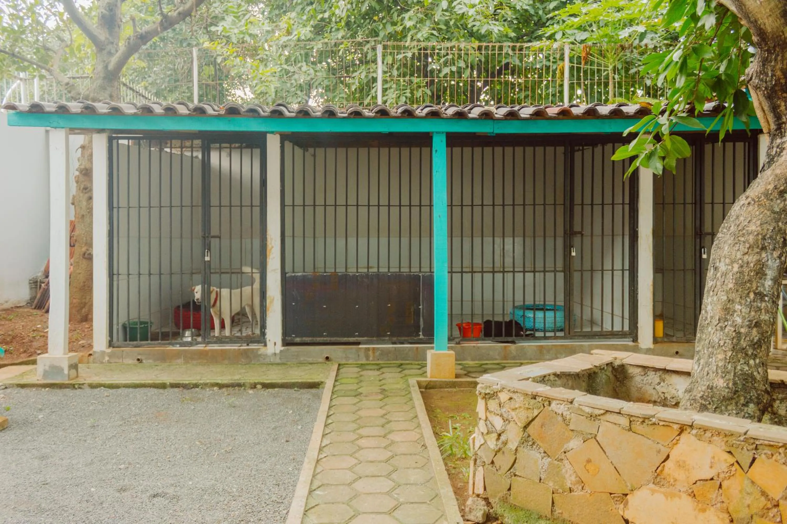 Pets in Urbanest Inn House TB Simatupang