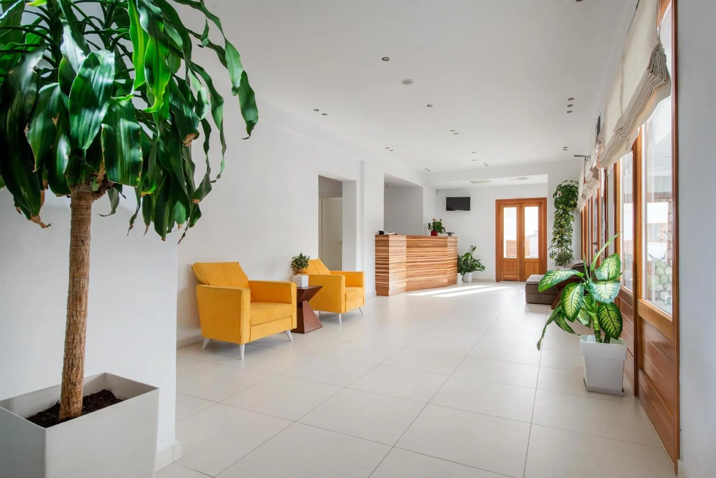Lobby or reception in Anamnesis City Spa