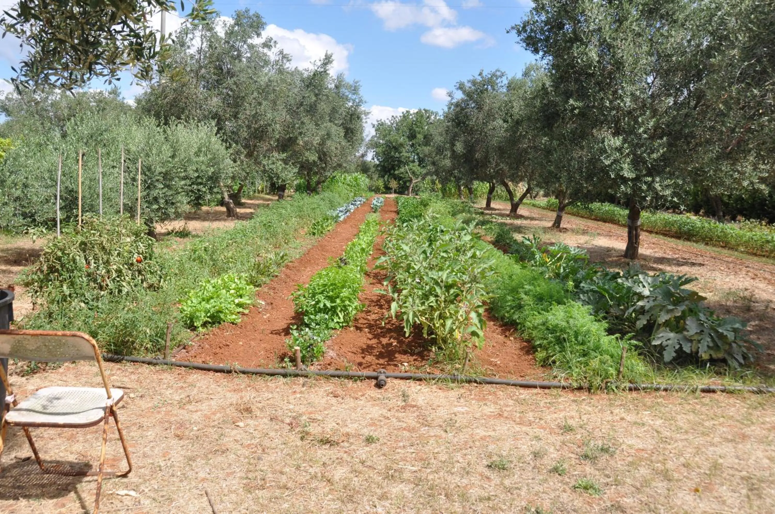 Natural landscape in Casa Giada B&B