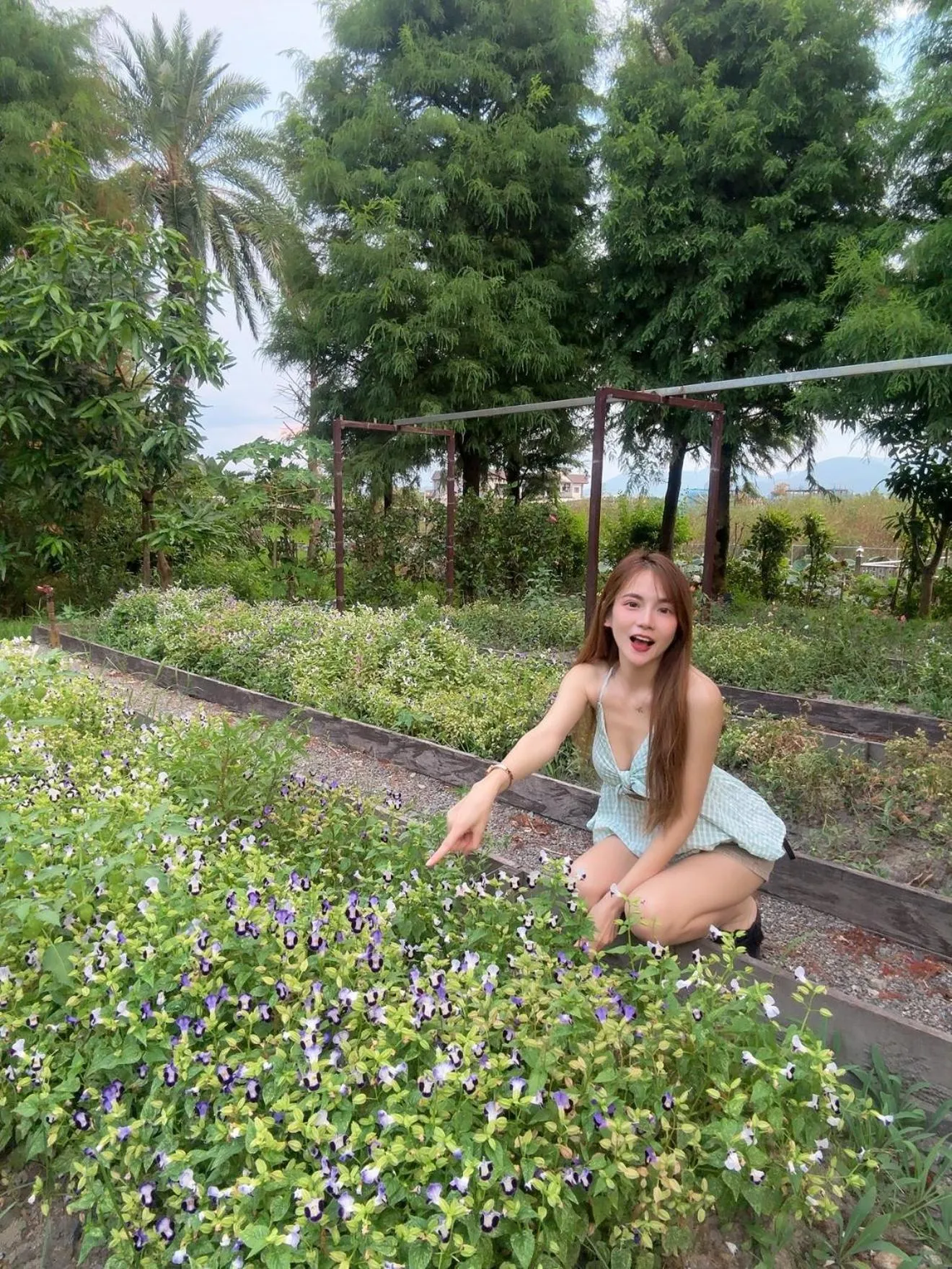 Garden in Villa LOHERB