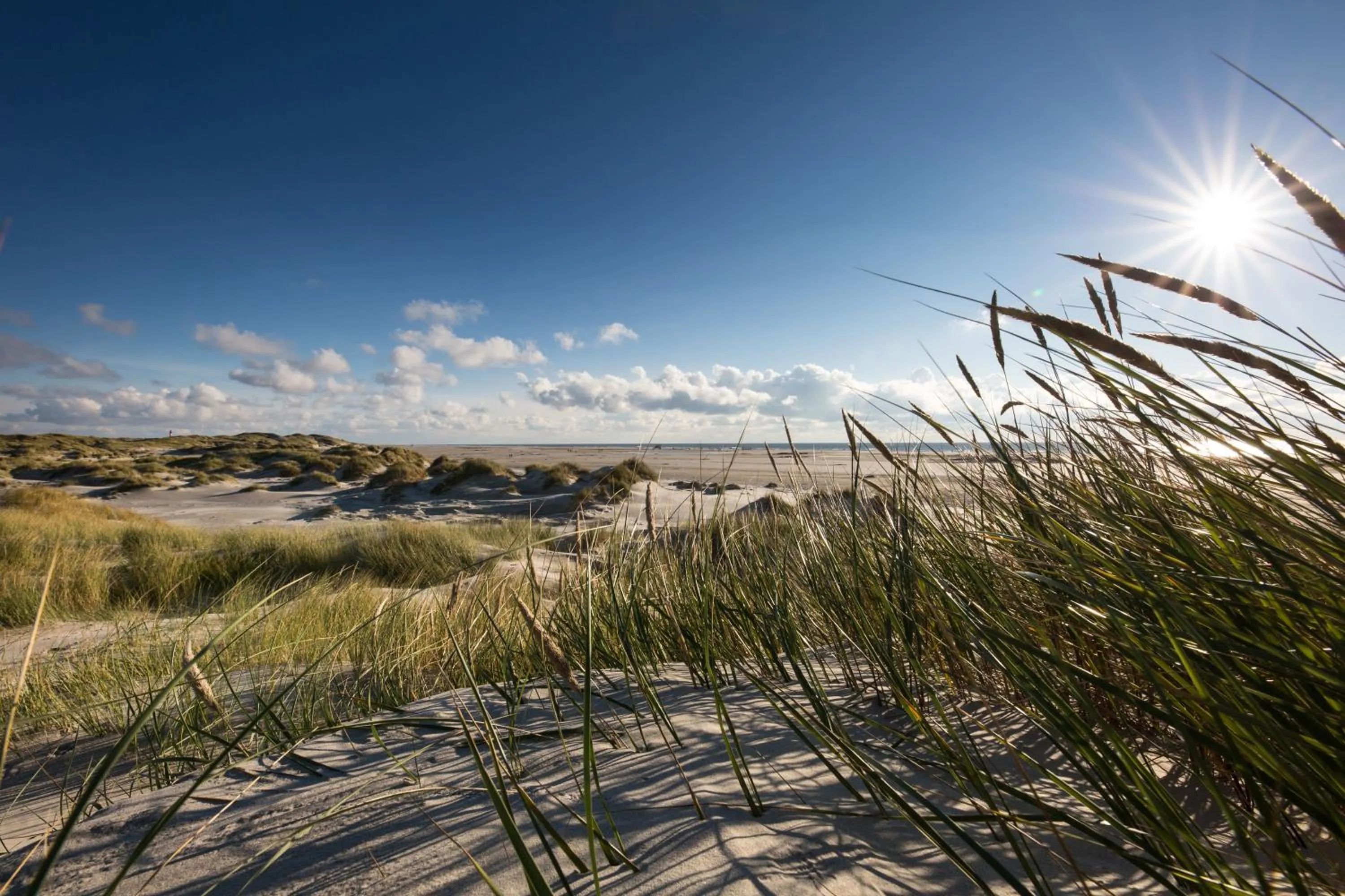 Nearby landmark in Hotel Restaurant Friedrichs