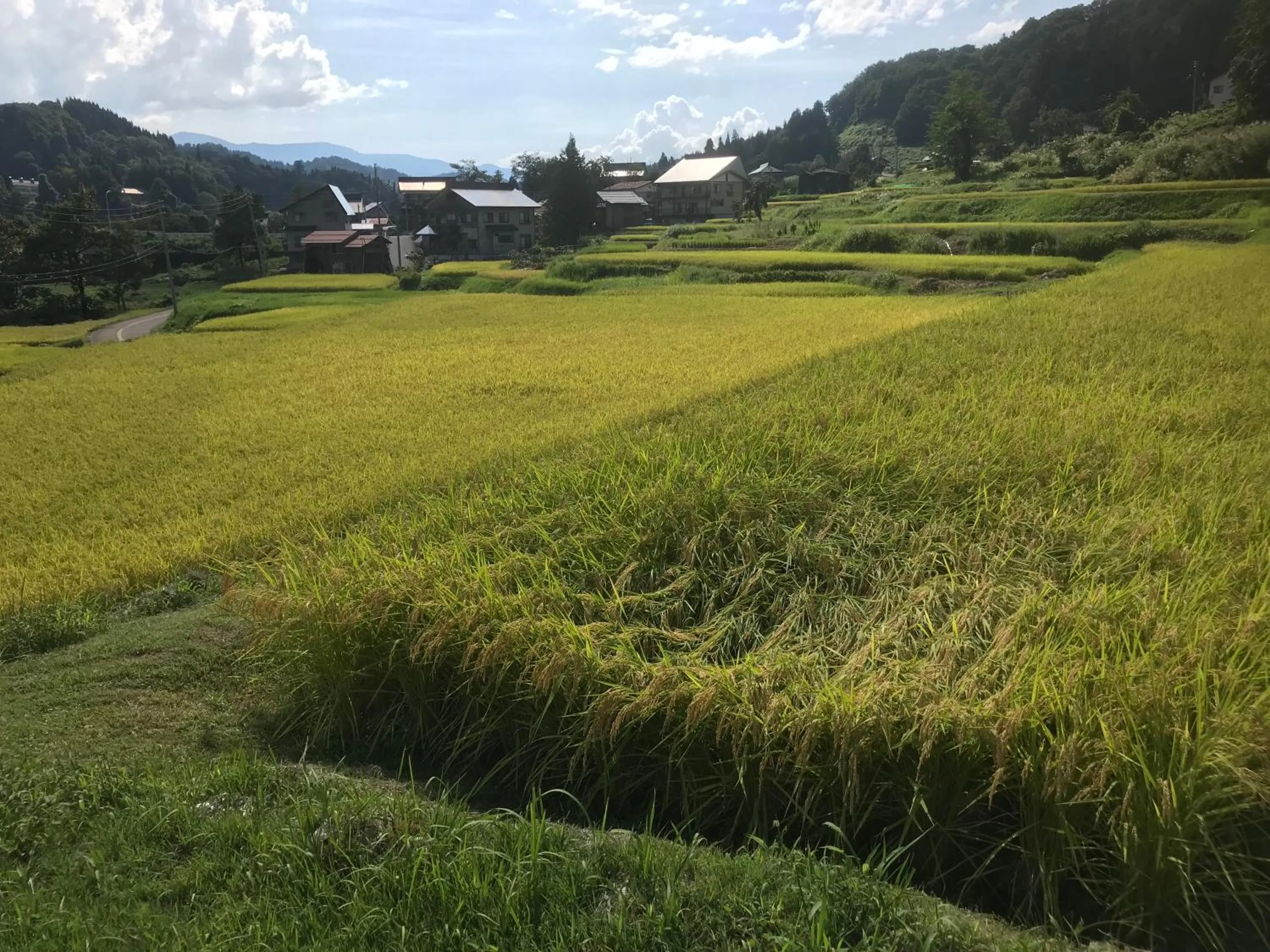 Natural landscape in Shinano Sou