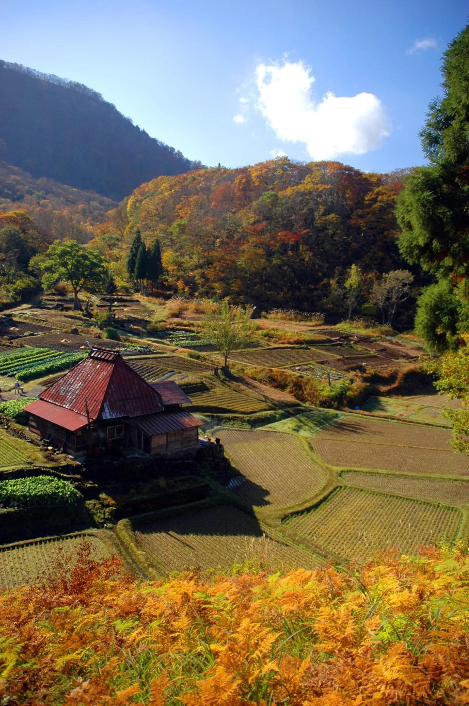 Neighbourhood in Shinano Sou