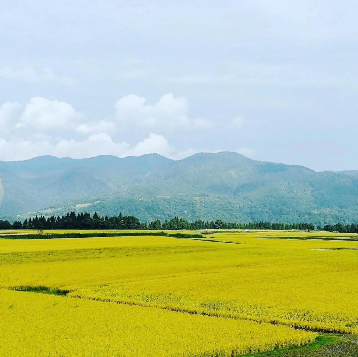 Natural landscape in Shinano Sou