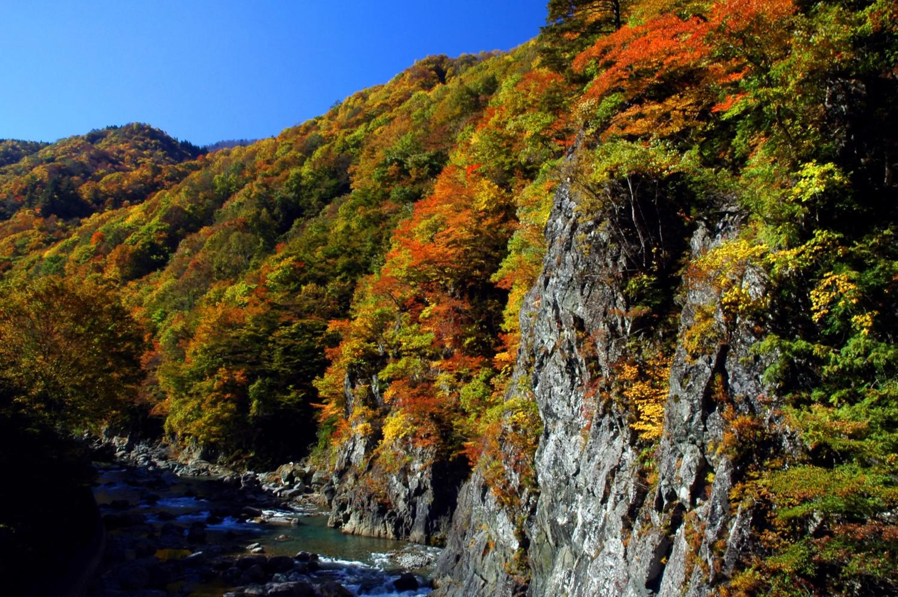 Natural landscape in Shinano Sou