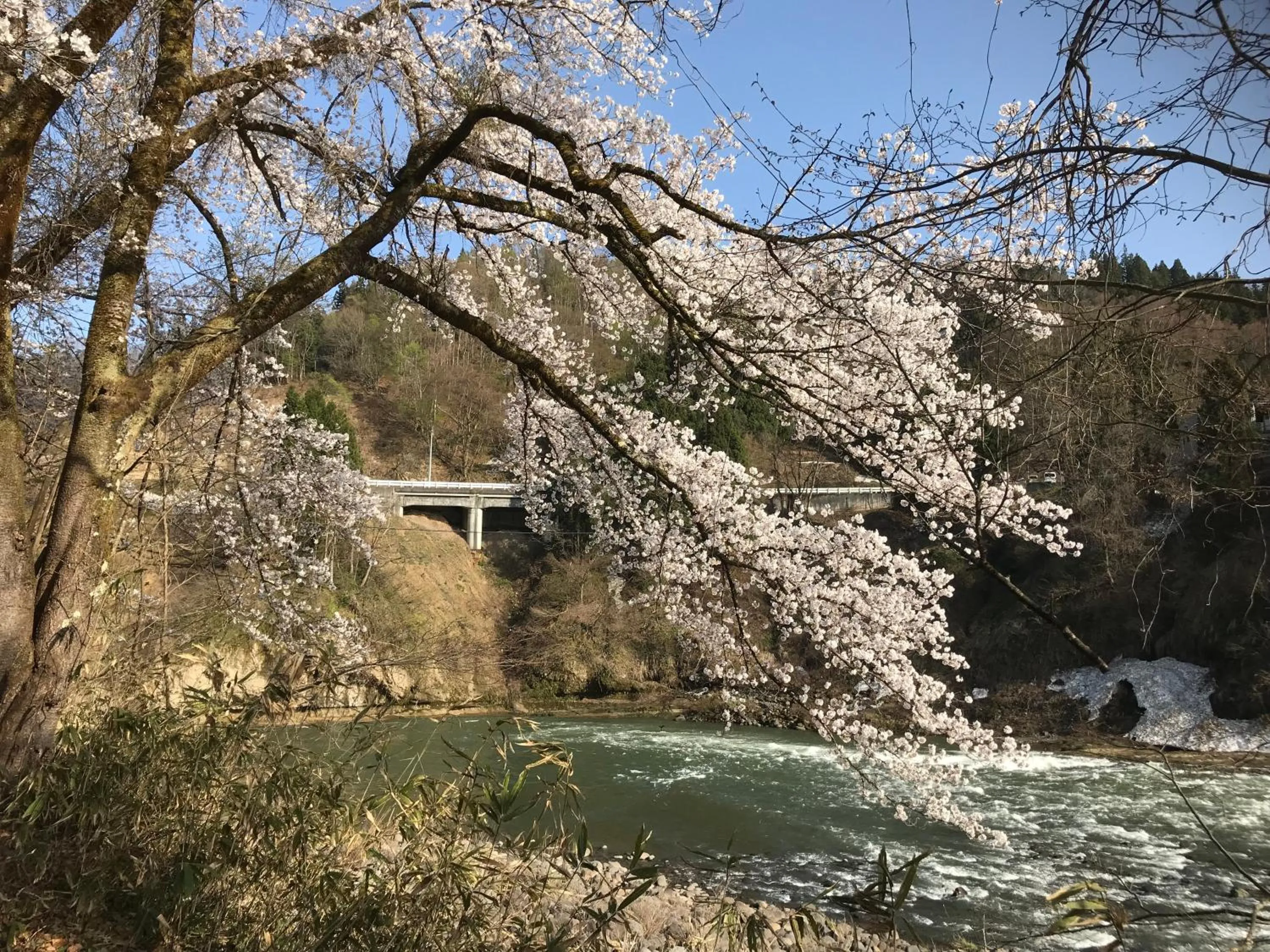 Natural landscape in Shinano Sou