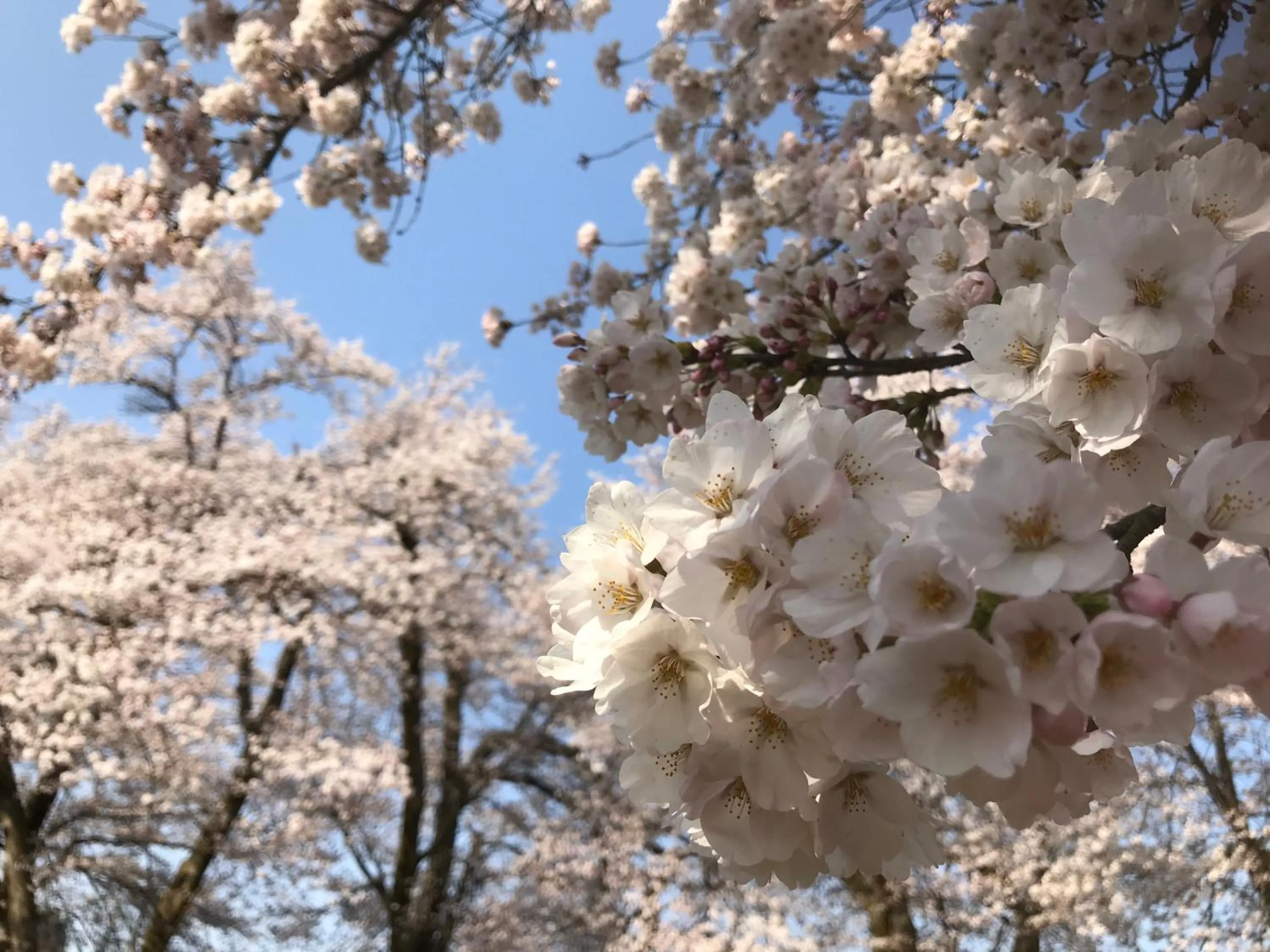 Natural landscape in Shinano Sou