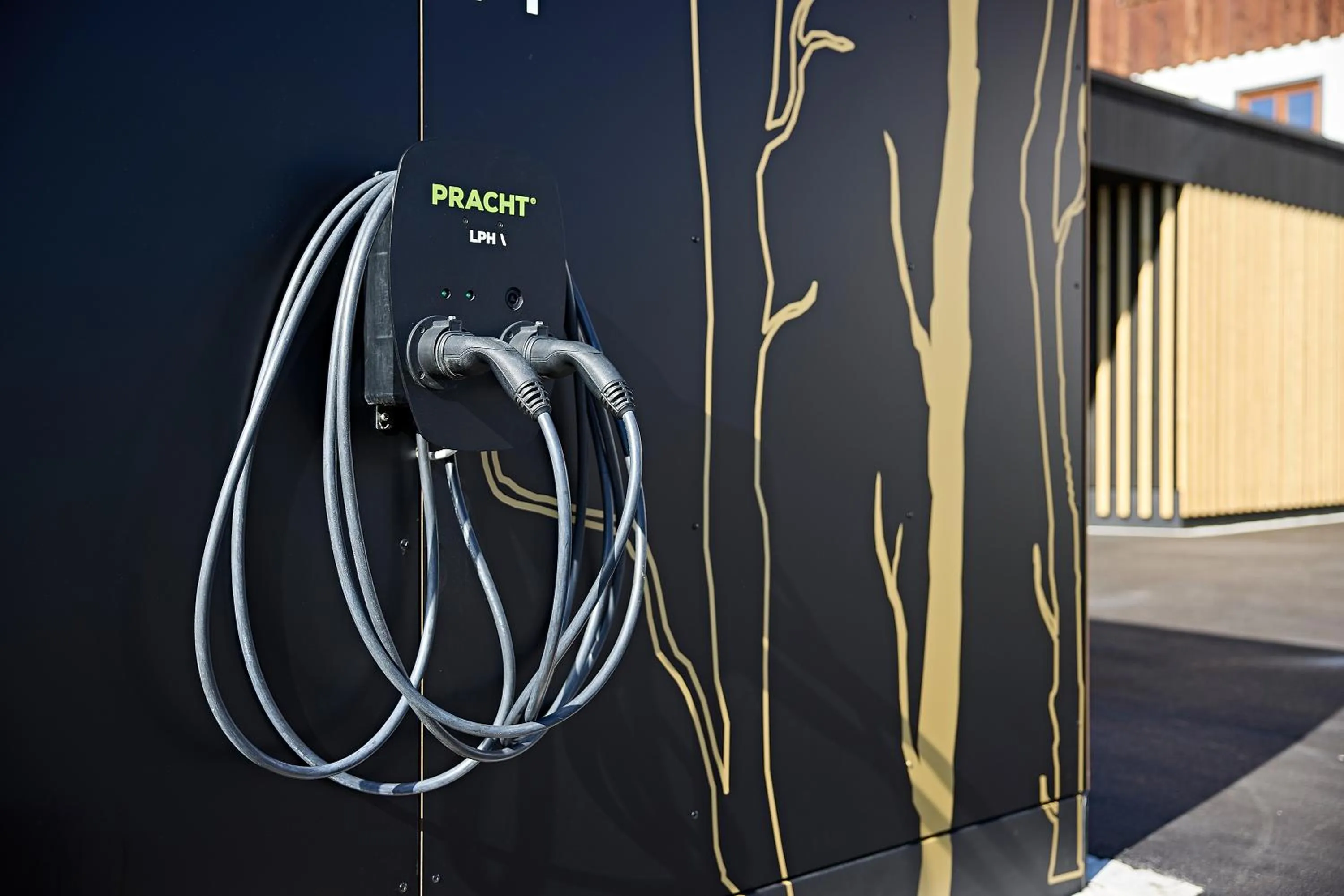 Facade/entrance in Hotel Die Krone - Immenstadt-Stein