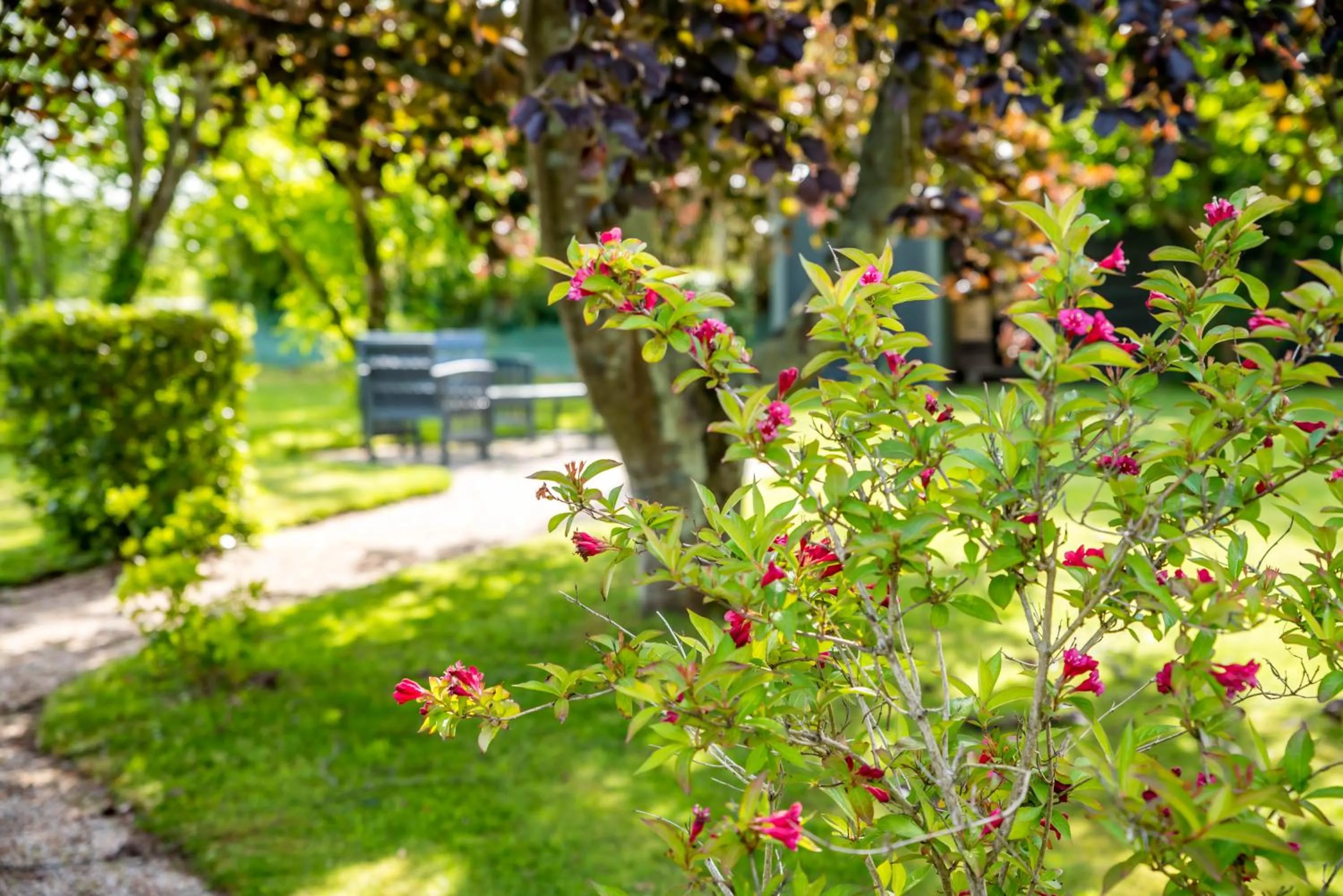 Garden in Carnac Lodge Hotel & Spa