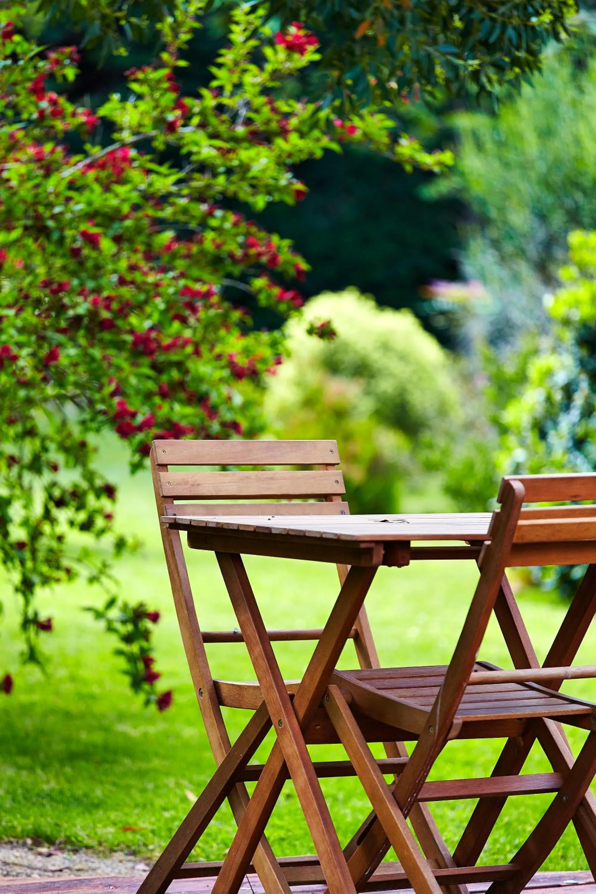 Garden in Carnac Lodge Hotel & Spa