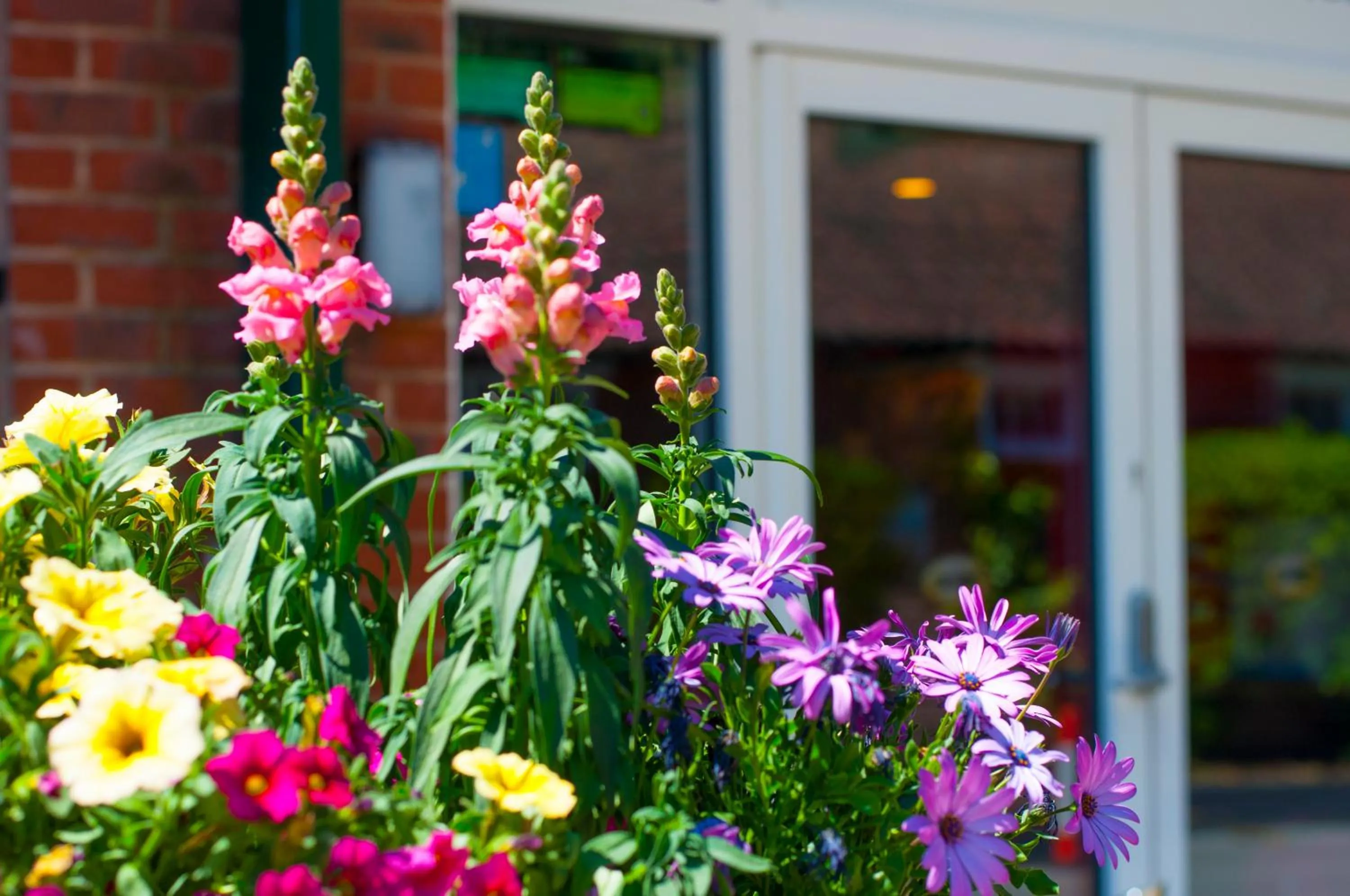 Garden in Stableside Hostel at York Racecourse